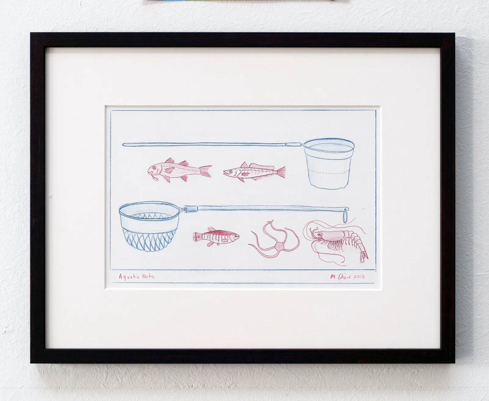 Aquatic Nets