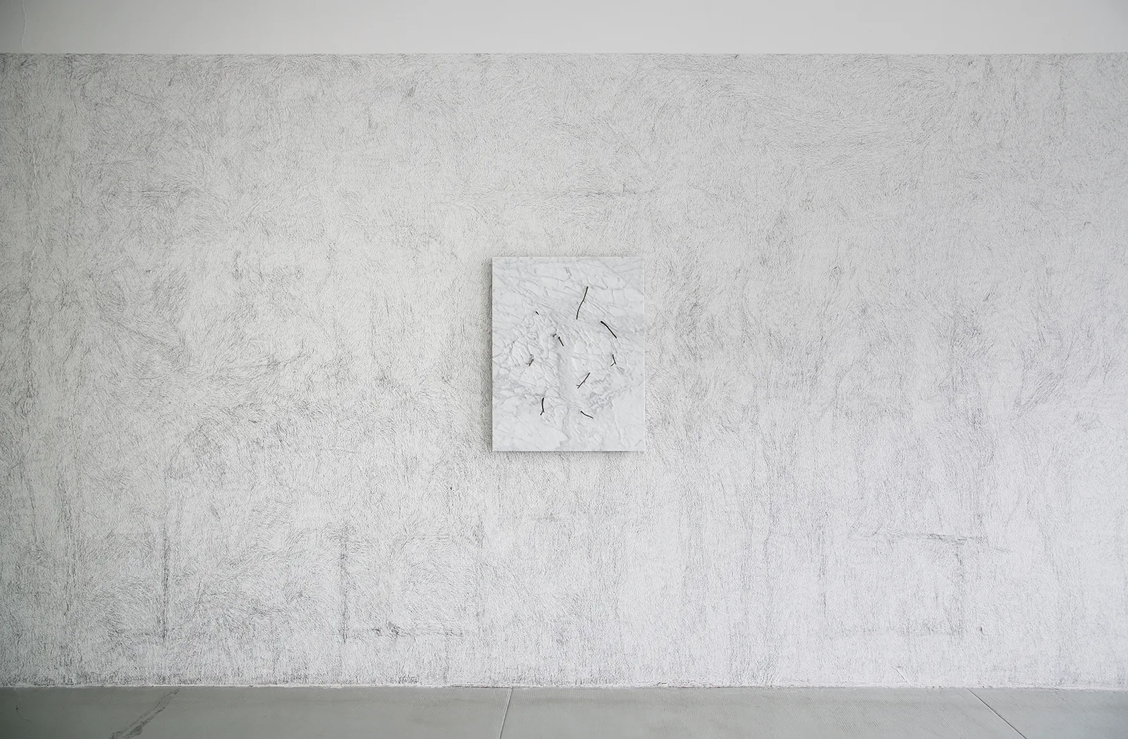Corpo di pietra - rami