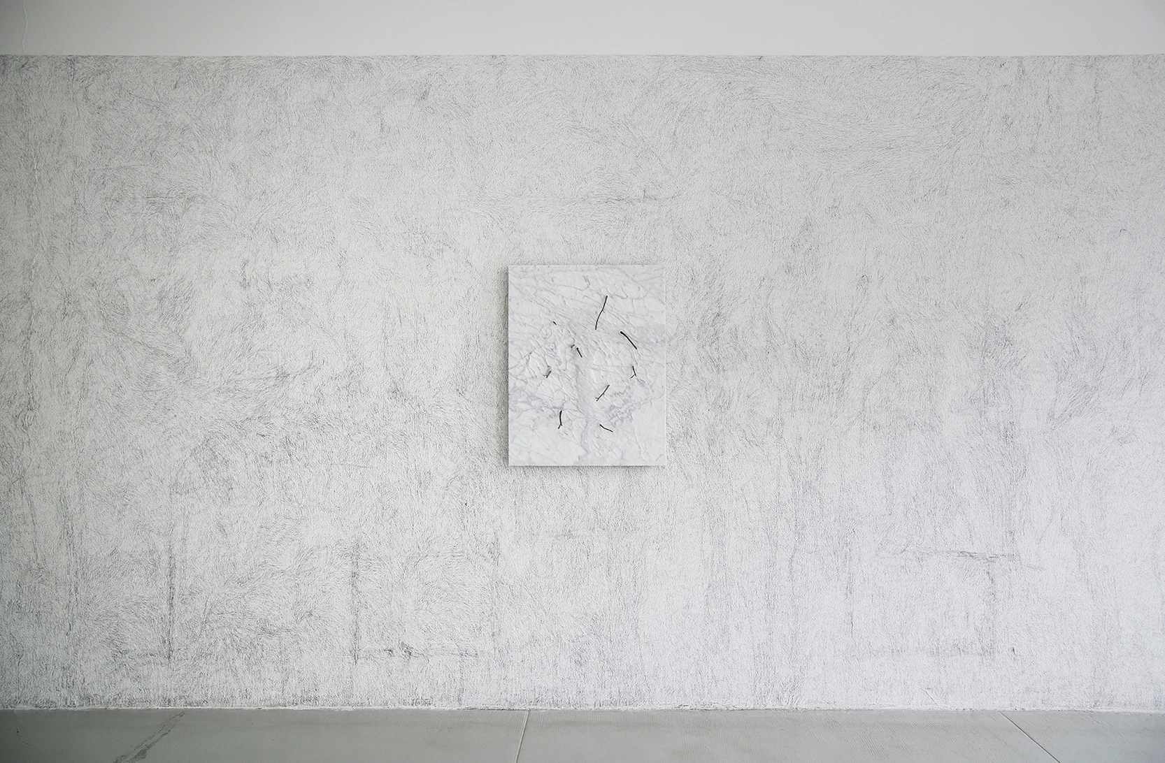 Corpo di pietra - rami