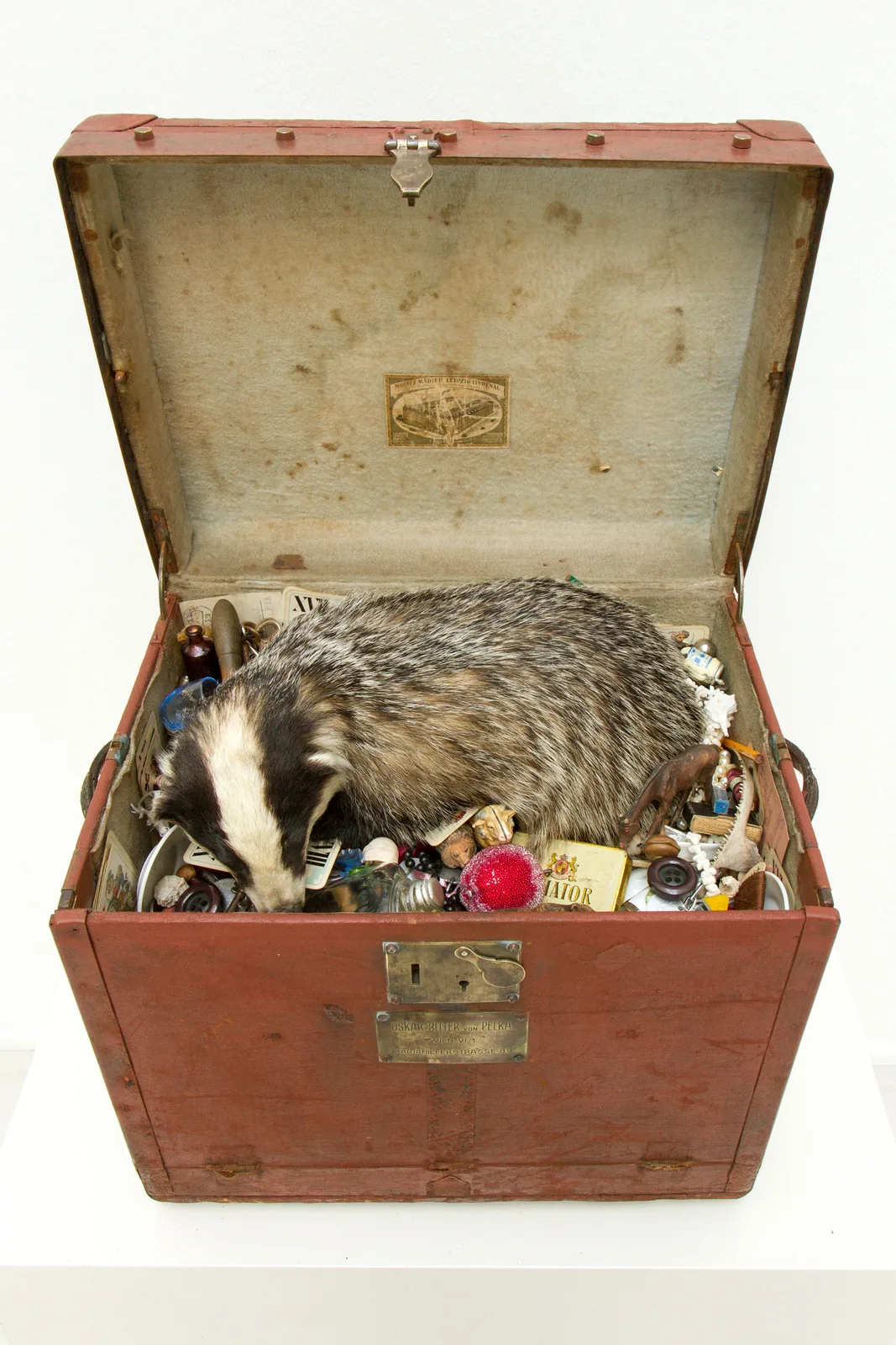 The Collector at Rest