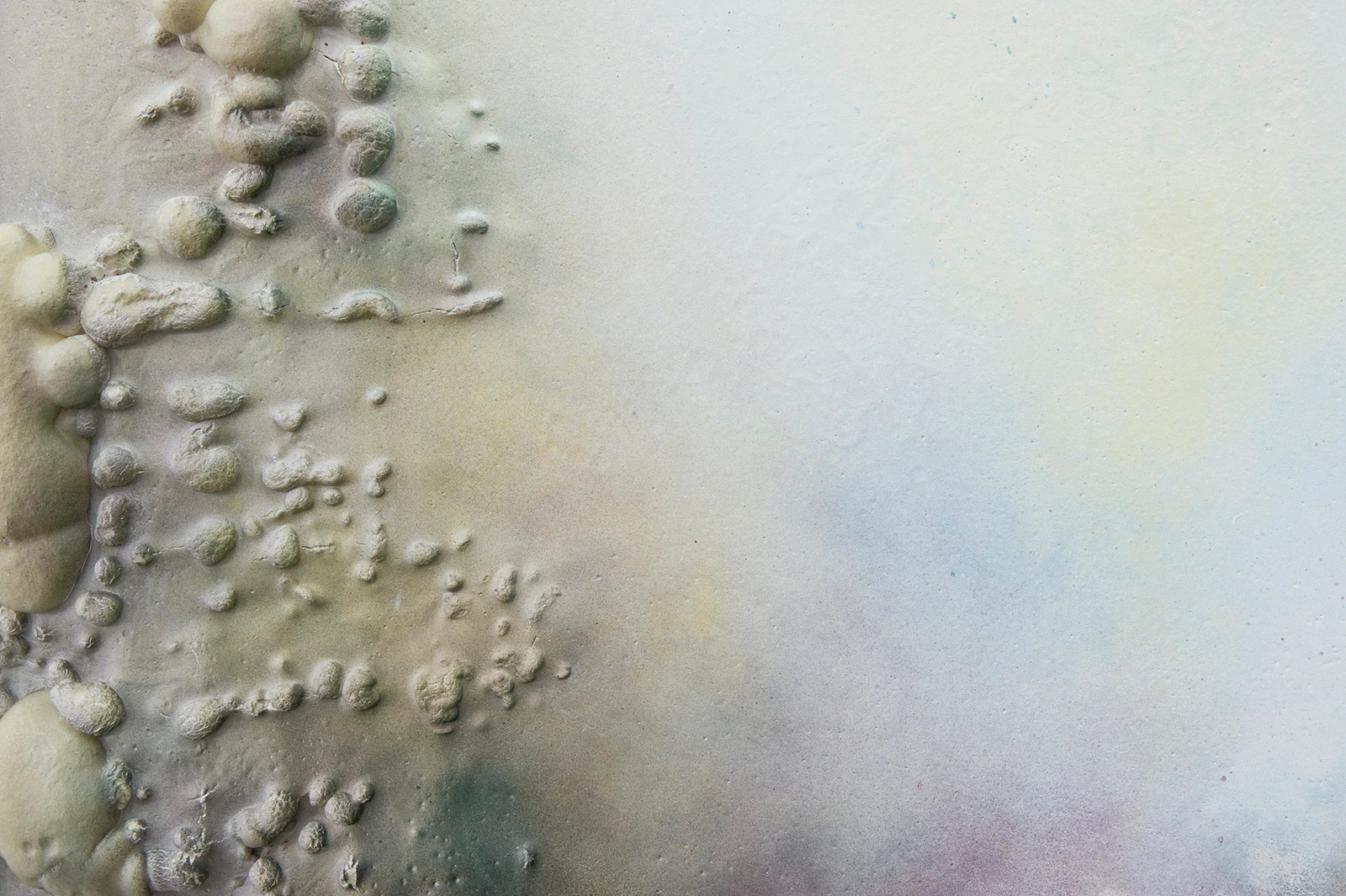 La grande seiche II