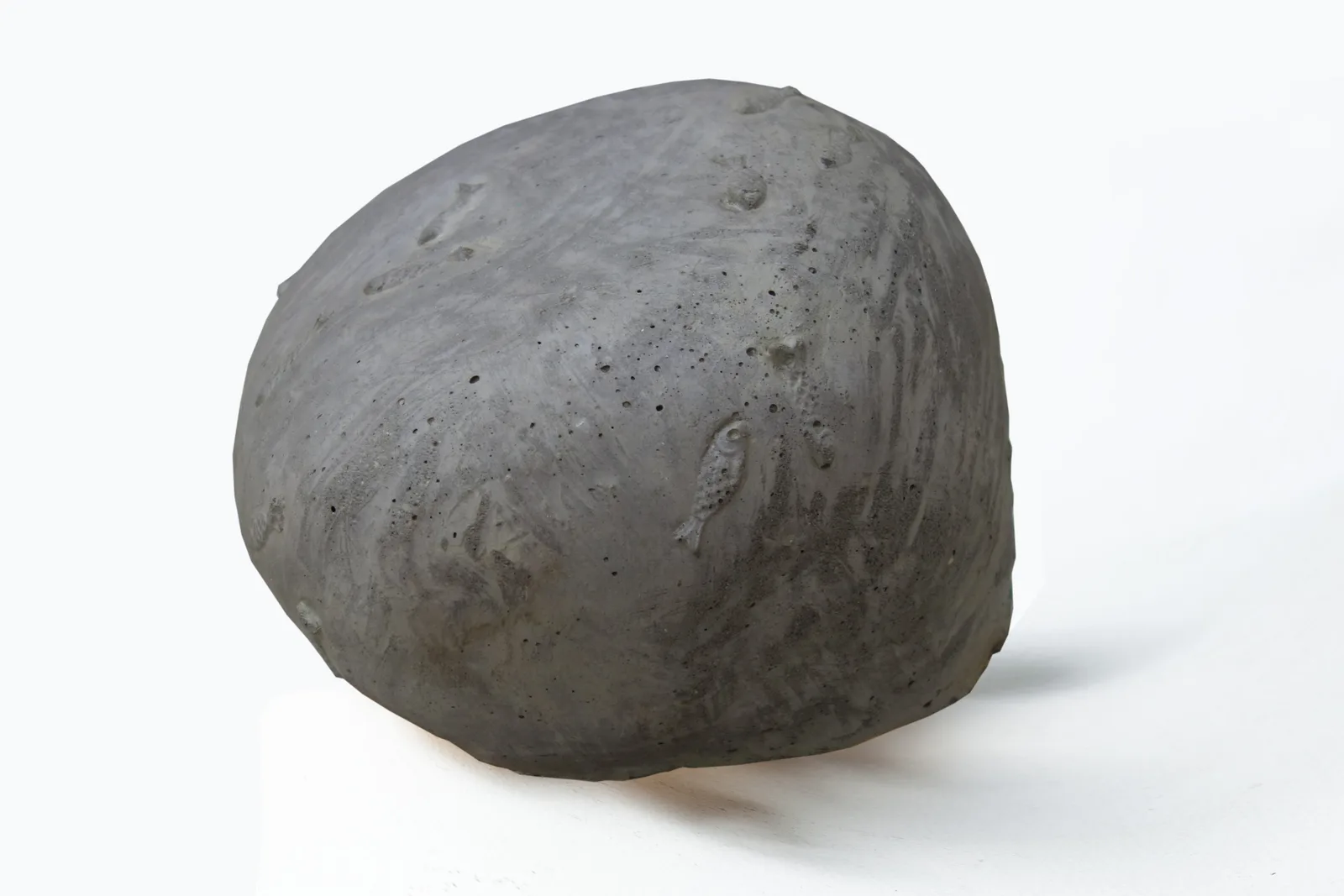 ACQUARI FOSSILI
