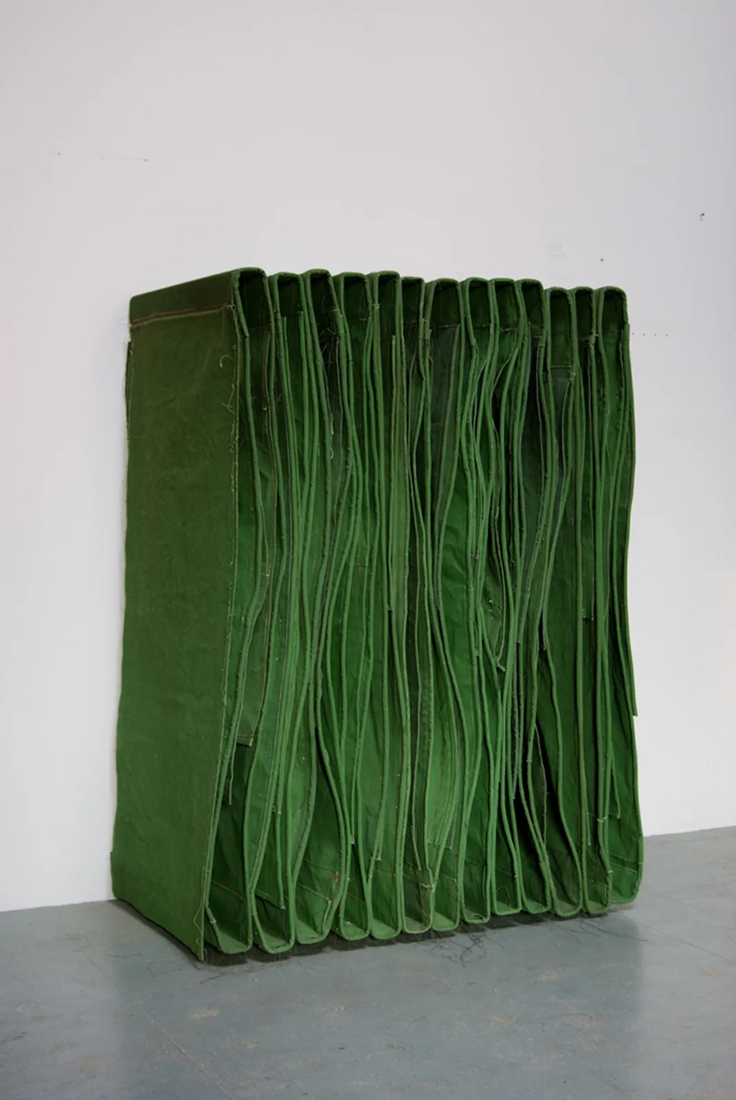 FOOT-NECK WALLSPINE