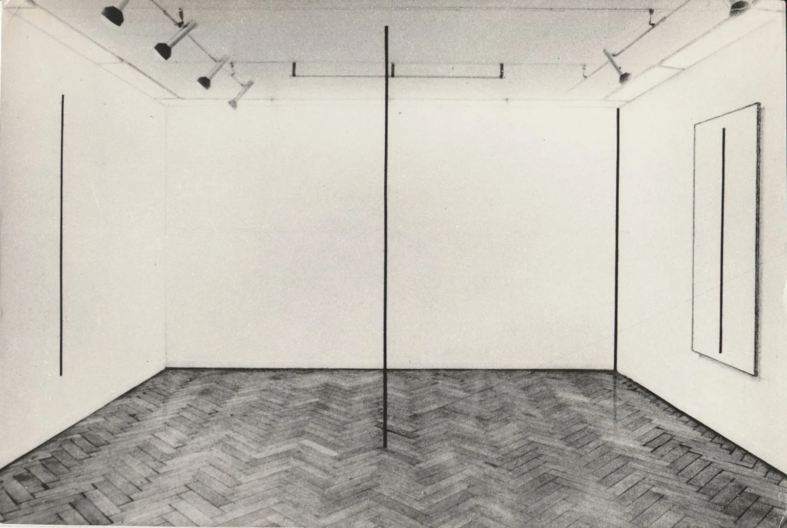Line as a Theory, Object, Reality and Image