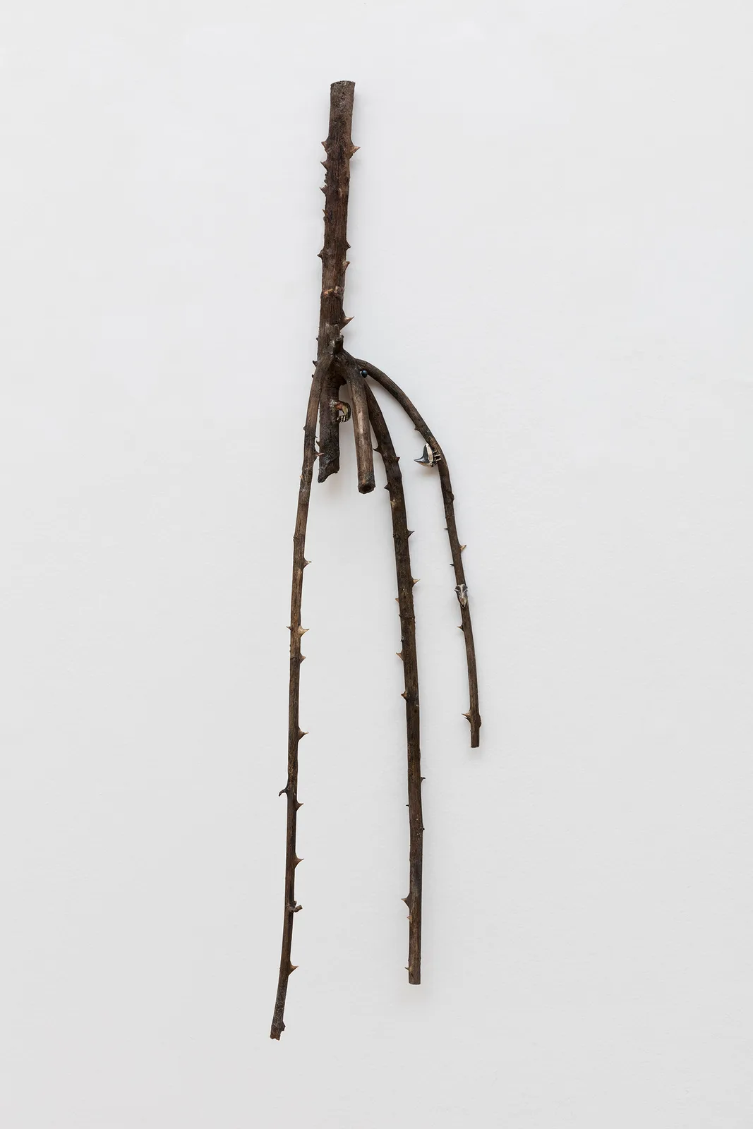 Untitled (rose and arm)