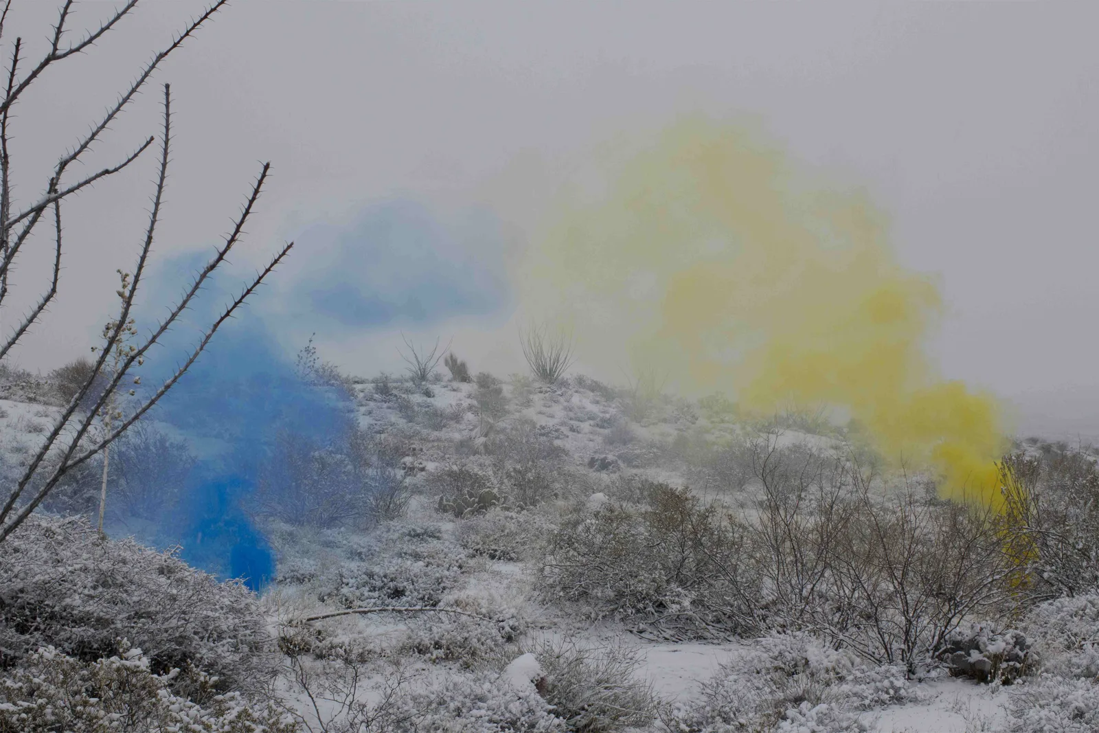 Smokescreen (Entrainment Study #8)
