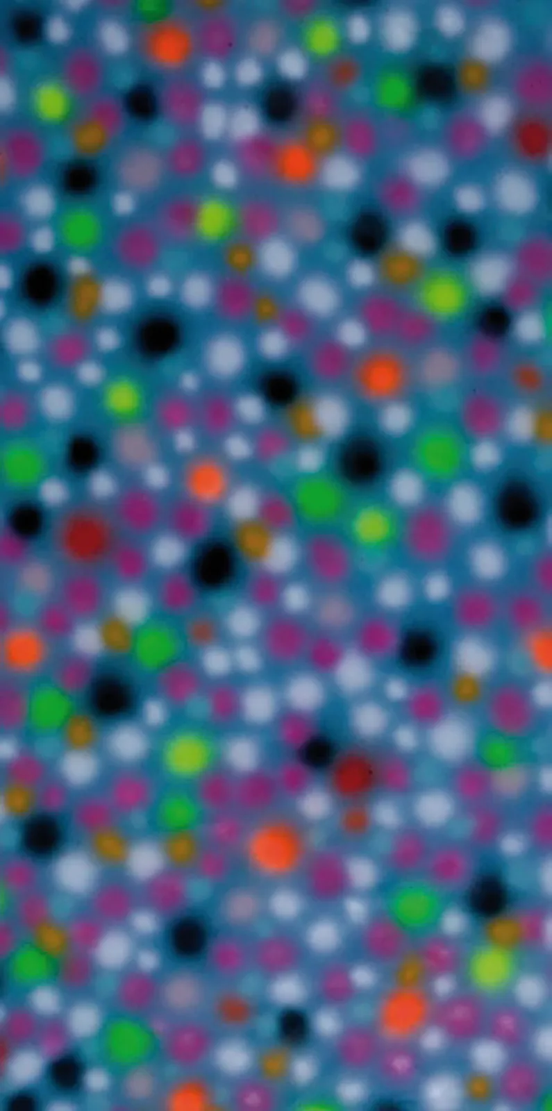 "Untitled", (inguardabile 17)