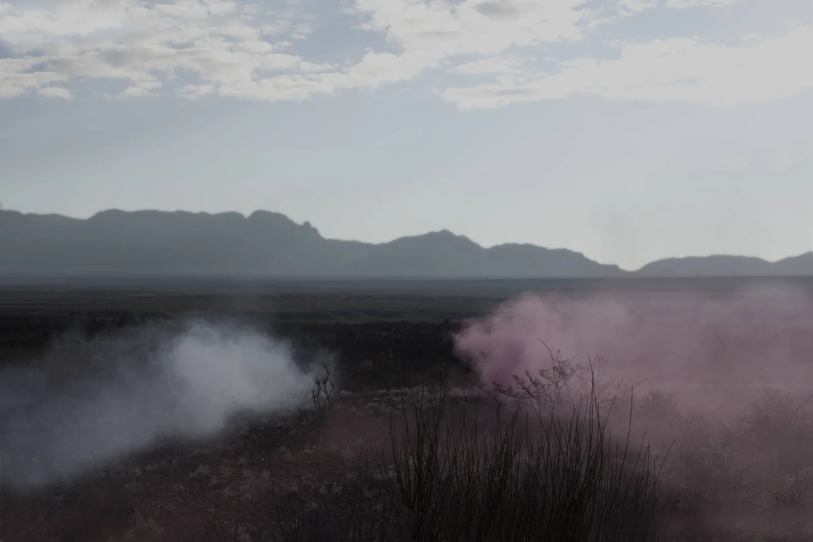 Smokescreen (Entrainment Study #3)