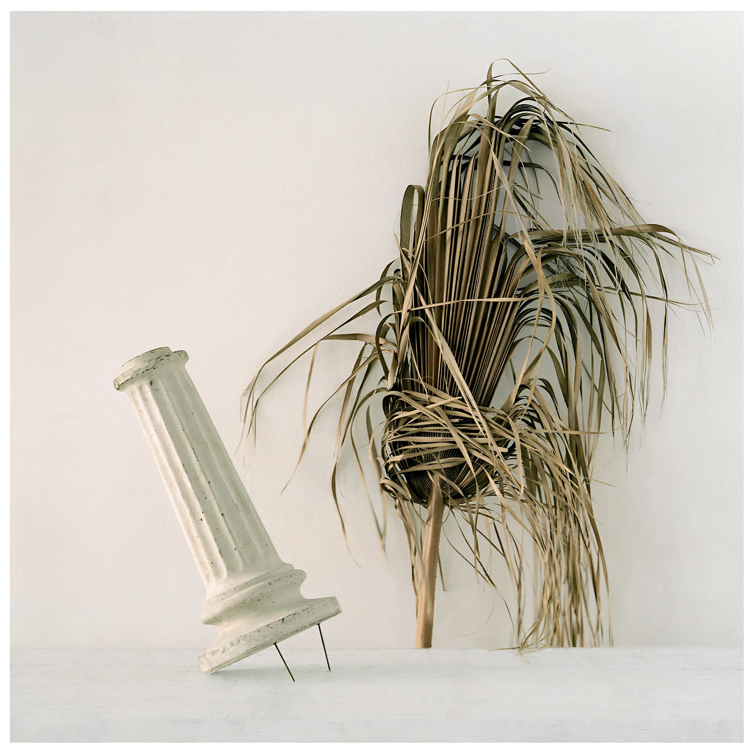 Undetermined remains, (a study of eight landscapes)