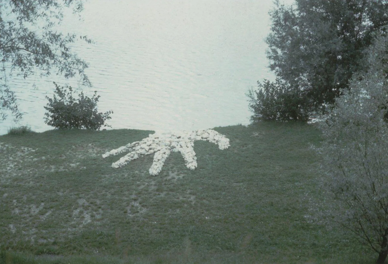 Il grande naufrago