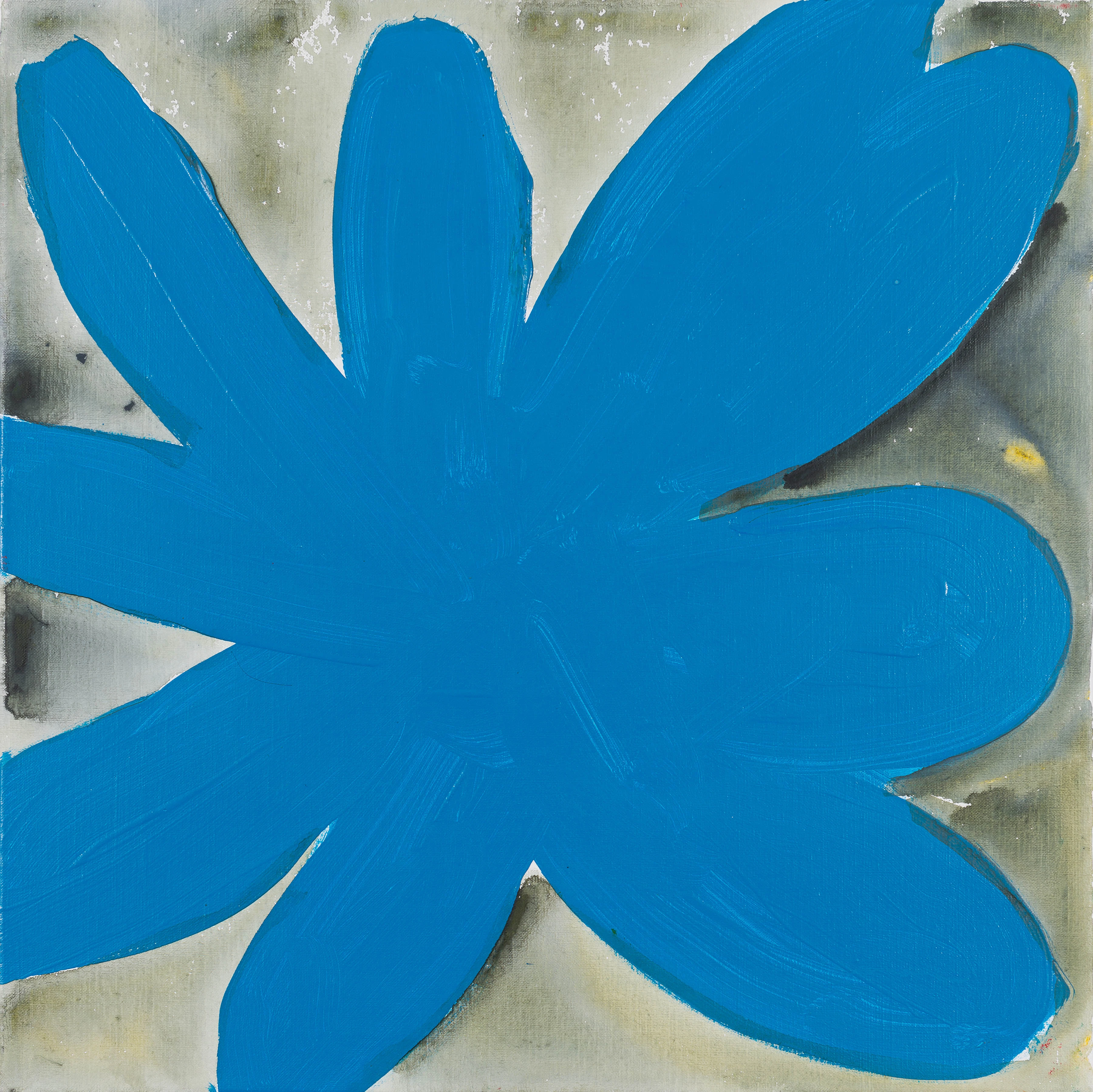 flower, blue, black, white