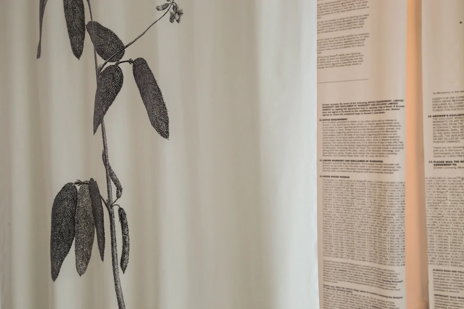 GMO are a Direct Evolution of Botanical Expeditions to the Colonies Throughout Modern Times