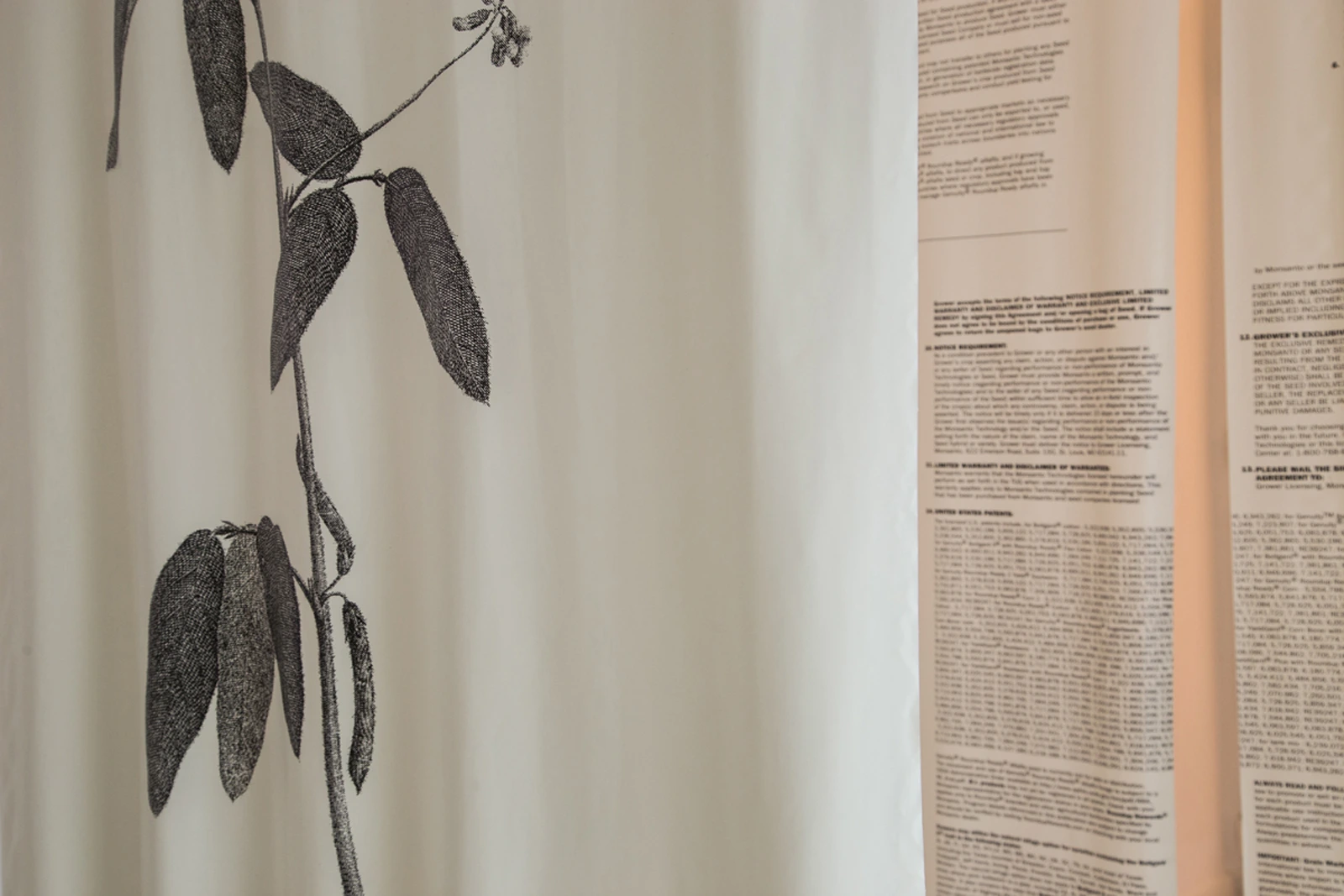 GMO are a Direct Evolution of Botanical Expeditions to the Colonies Throughout Modern Times