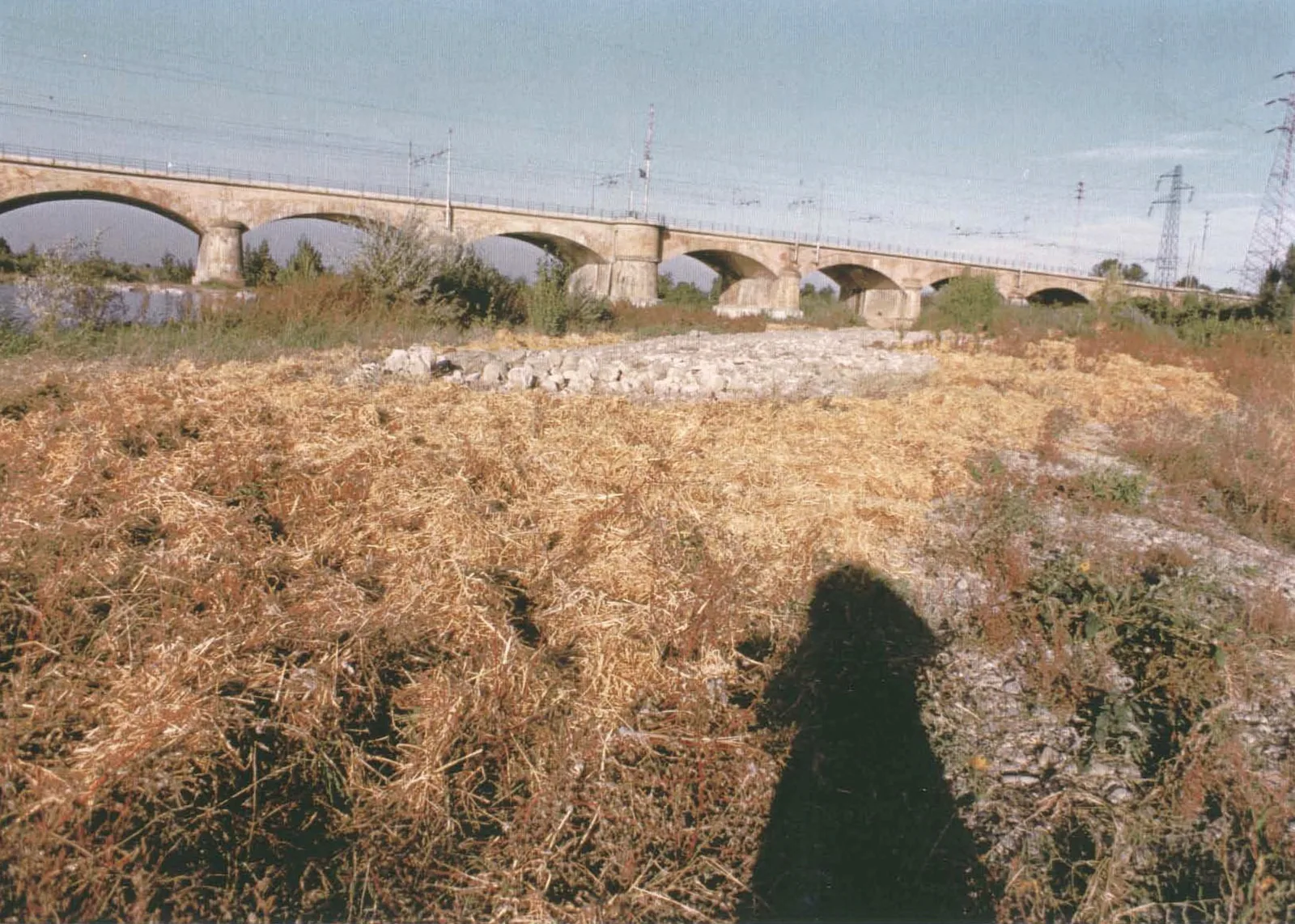 Donna isola e ponte
