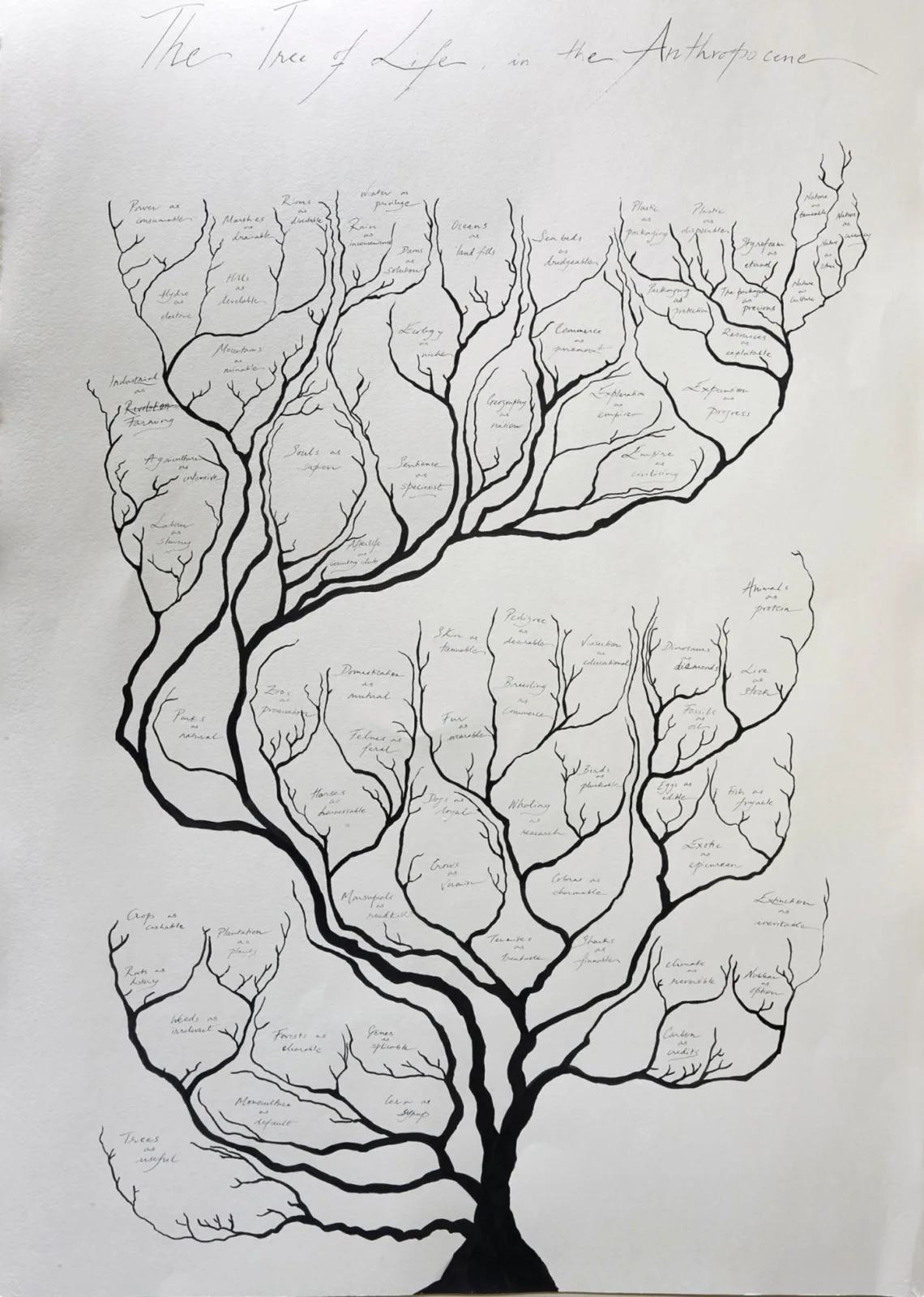 The Tree of Life in the Anthropocene