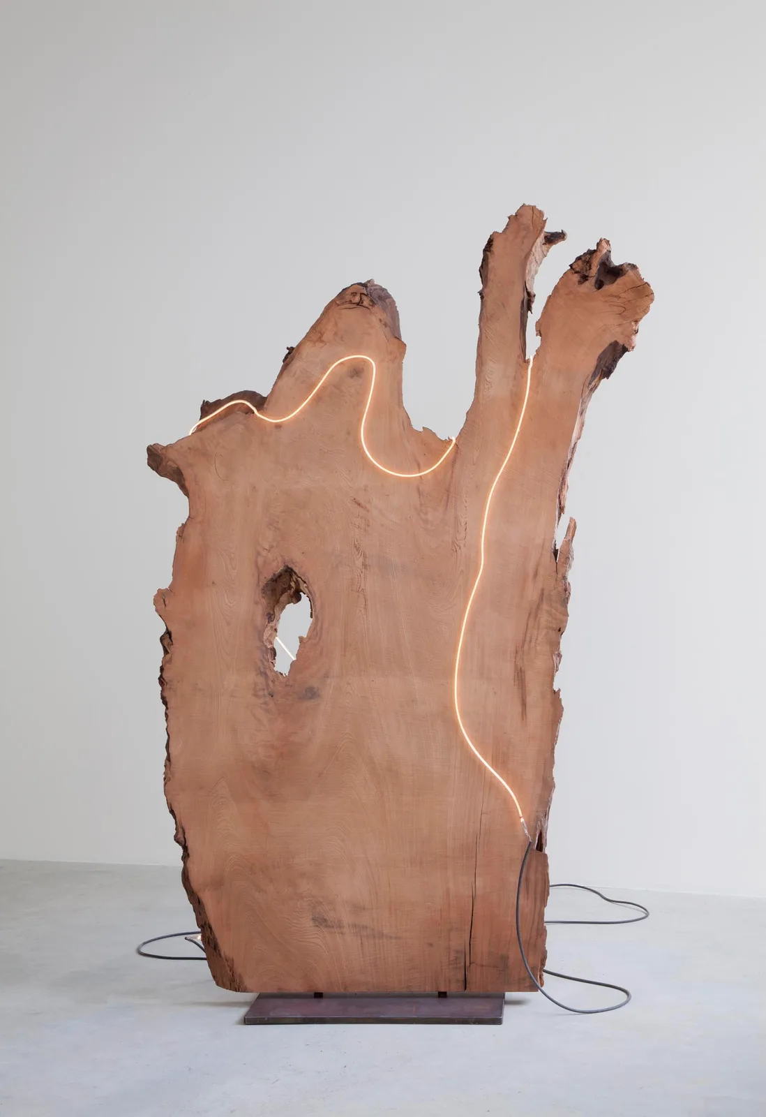 Untitled (Andy)