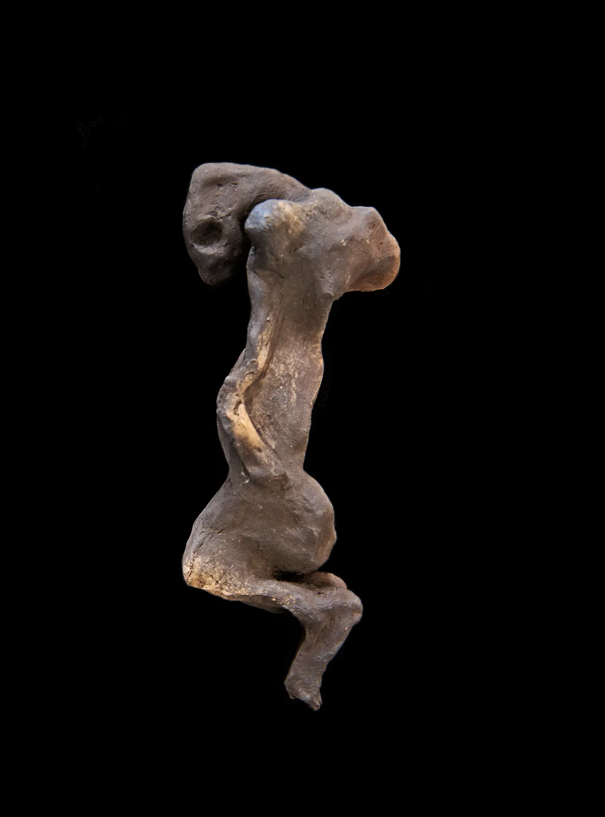 Untitled (rabbit hungeback)