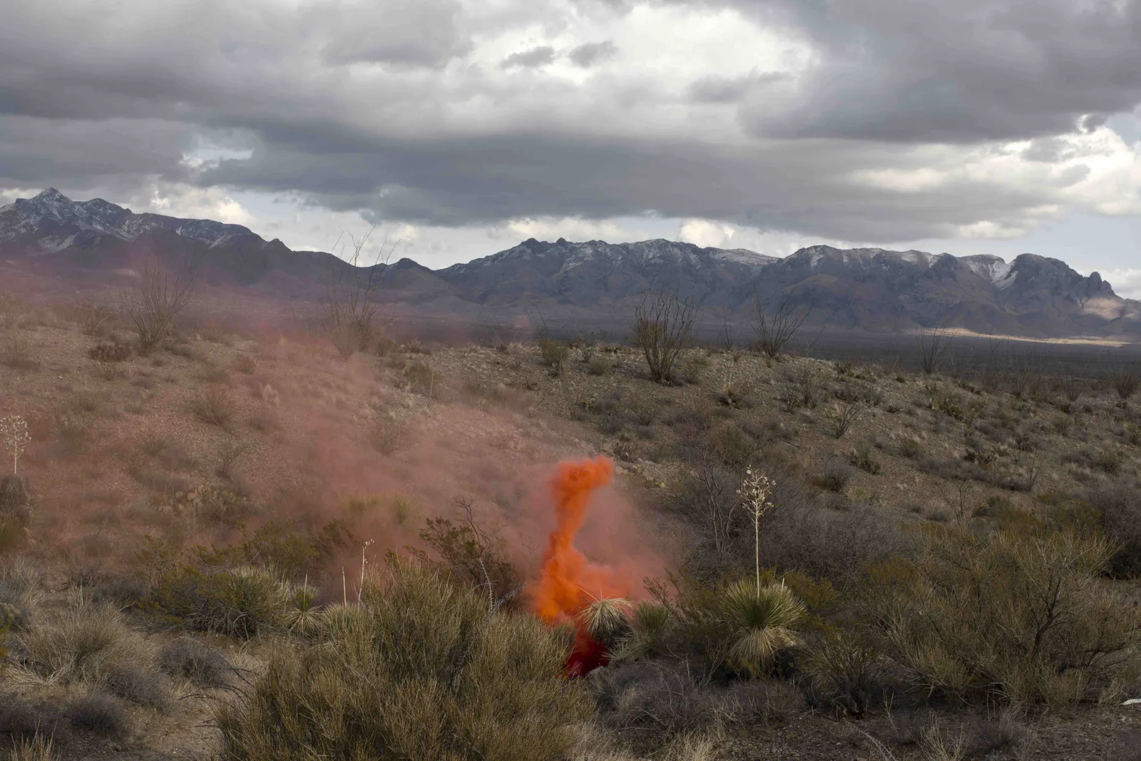 Smokescreen (Entrainment Study #4)