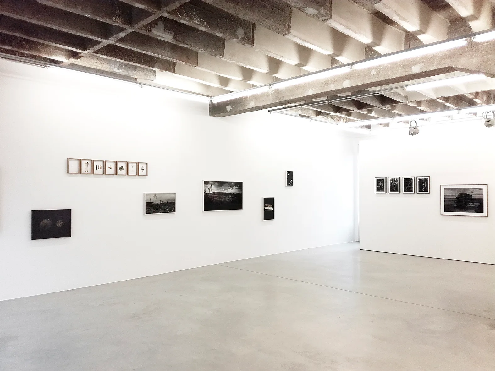 Gallery Taik Persons