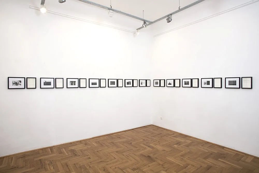 Ani Molnár Gallery