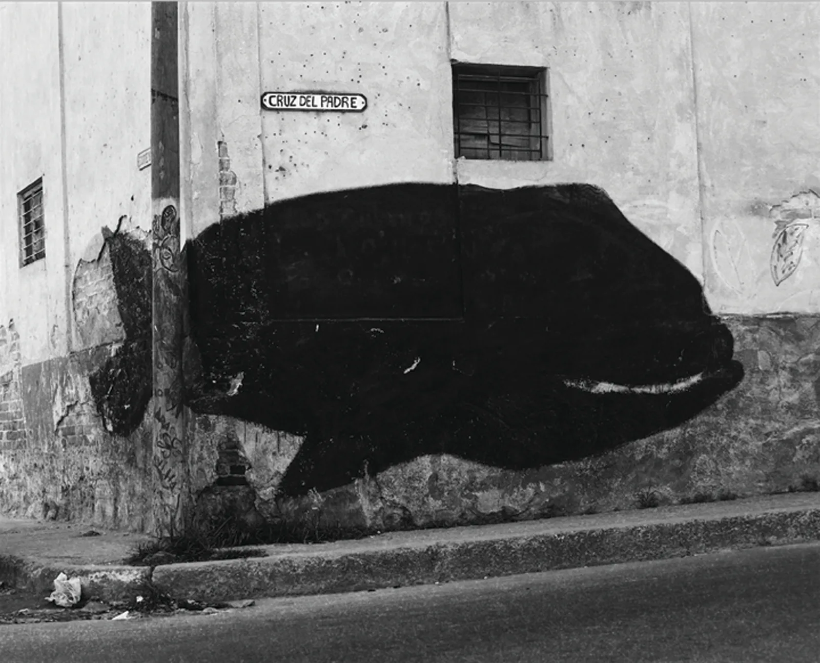 Ballena / Whale From the series BESTIARIO / BESTIARY