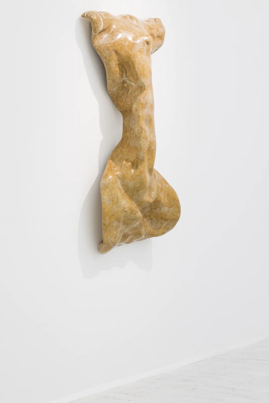 Torso Giallo Reale
