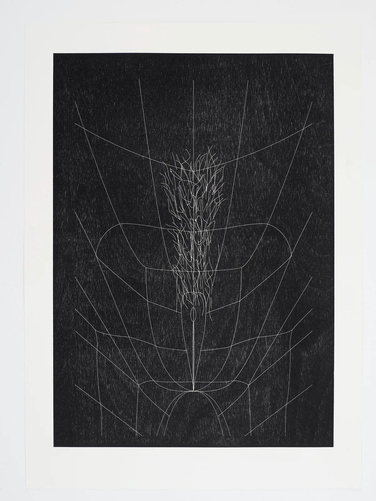 HIS CORPORATE CUNT ART, credit Nikola Dechev (Series 1-3)