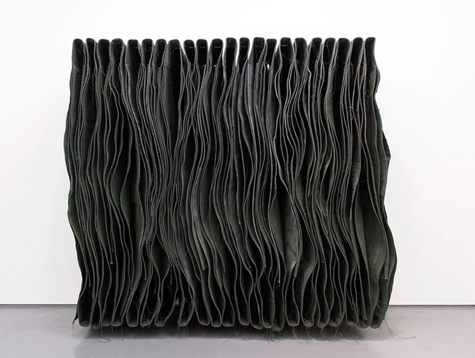 WALLSPINE (LEAF)