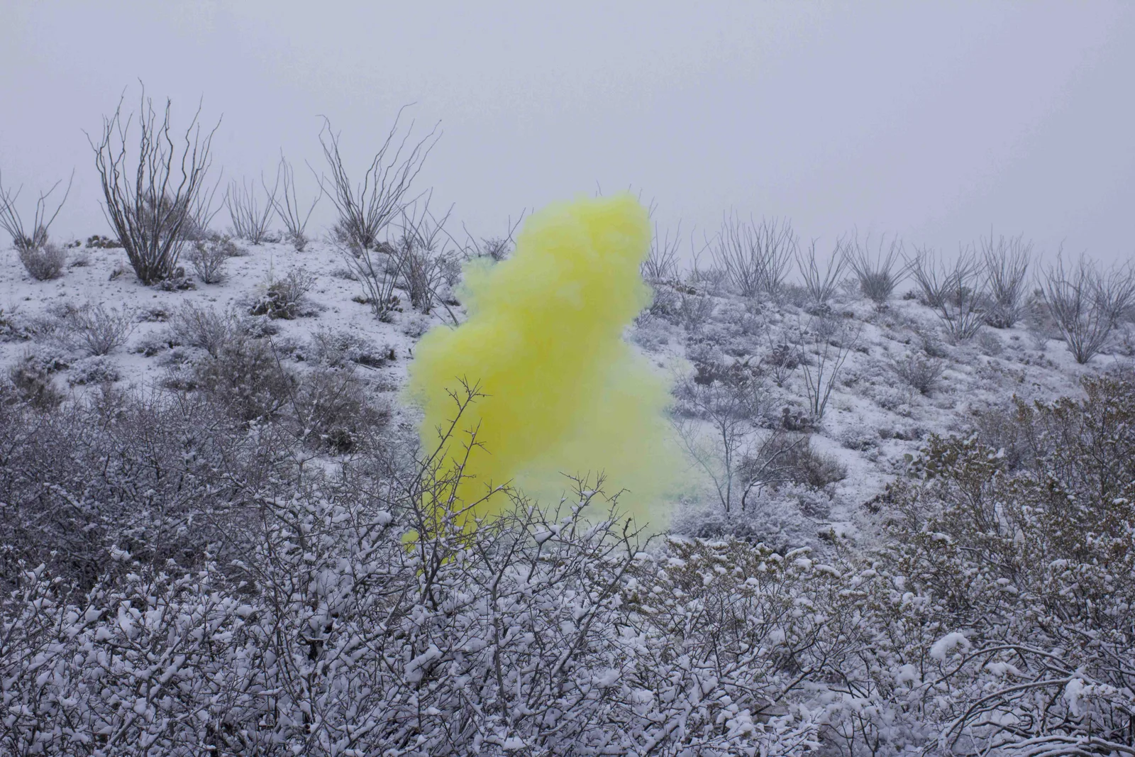 Smokescreen (Entrainment Study #7)