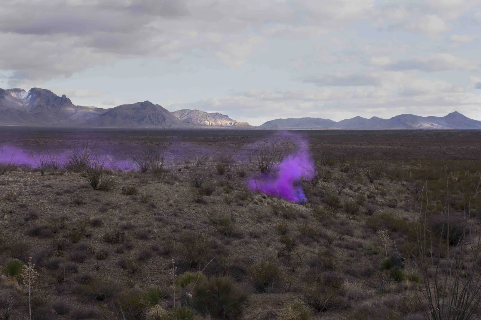 Smokescreen (Entrainment Study #5)