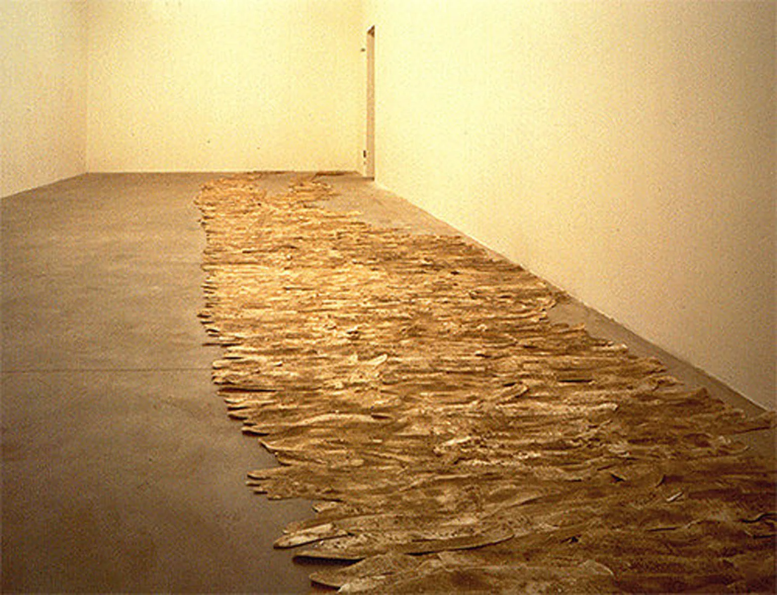 View exhibition "Minima arteria"