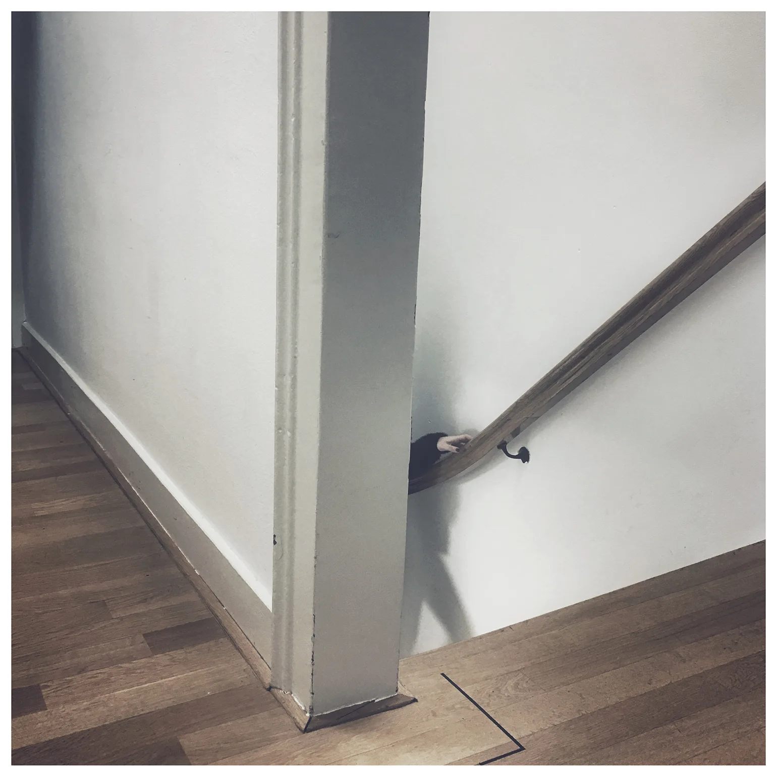Corner