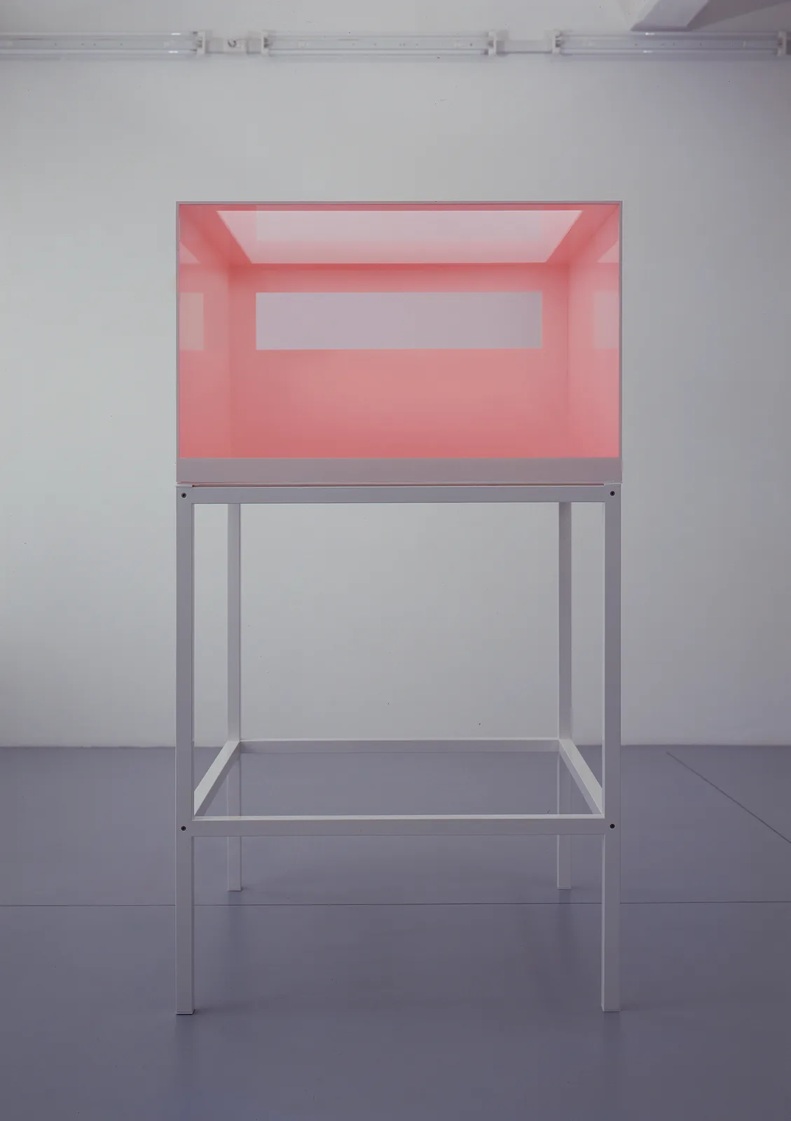 Progetto per un interno rosso