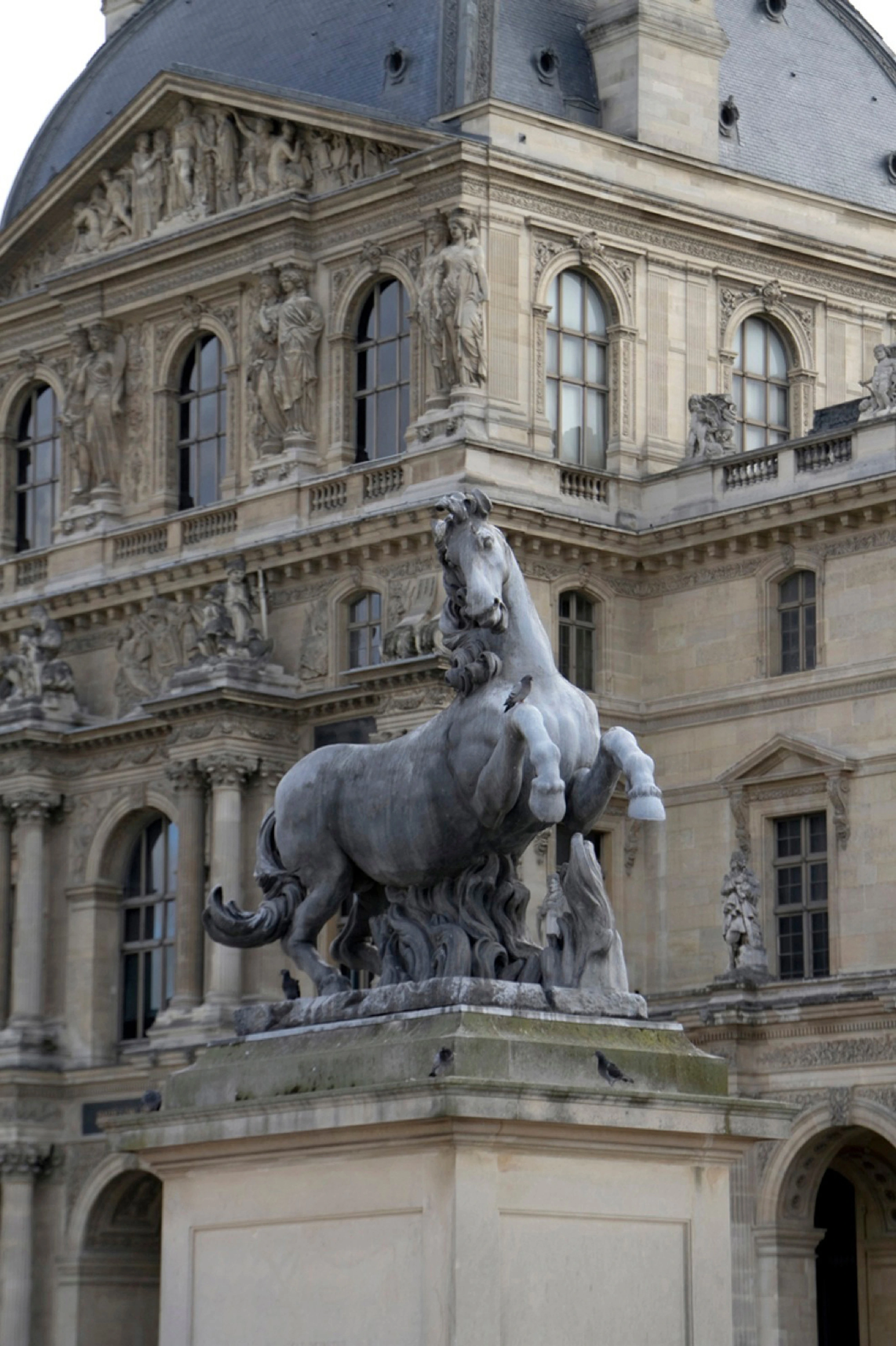Horse (Paris, Louvre)