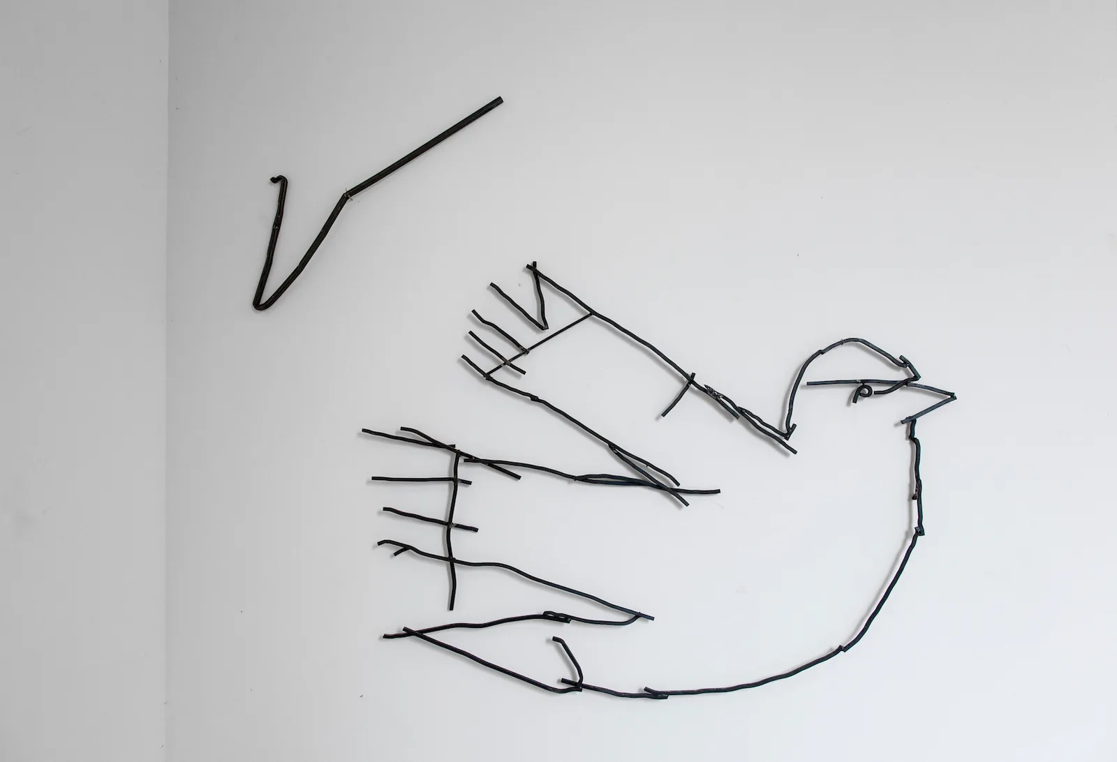 Abetare (Dove)