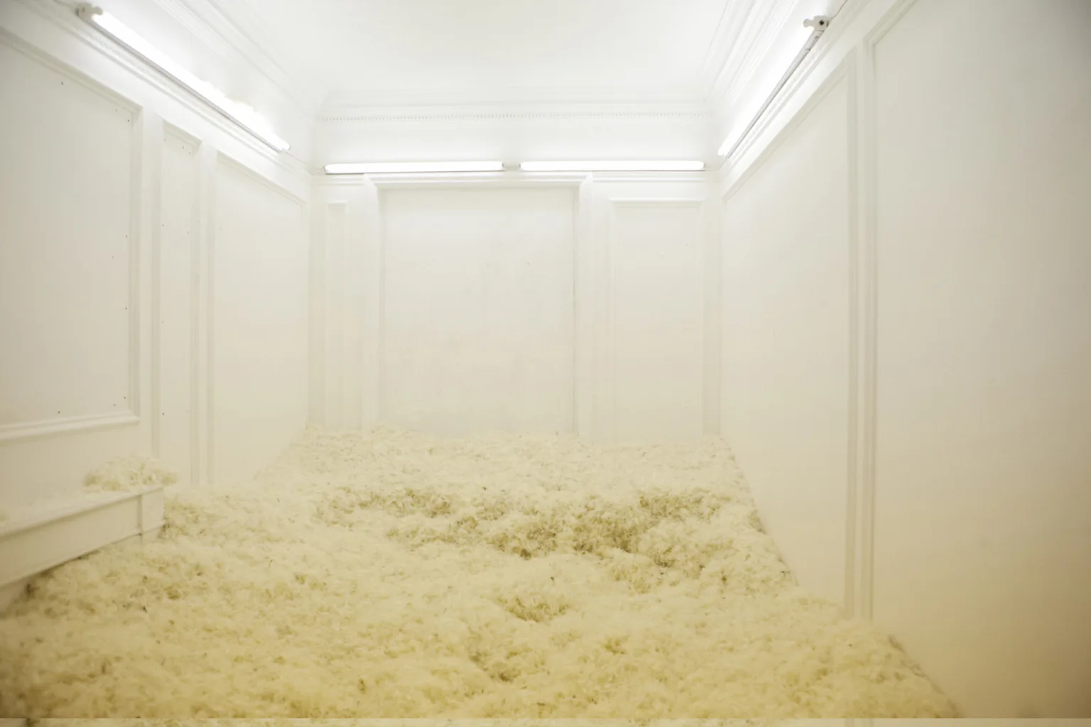 The White Feather Room
