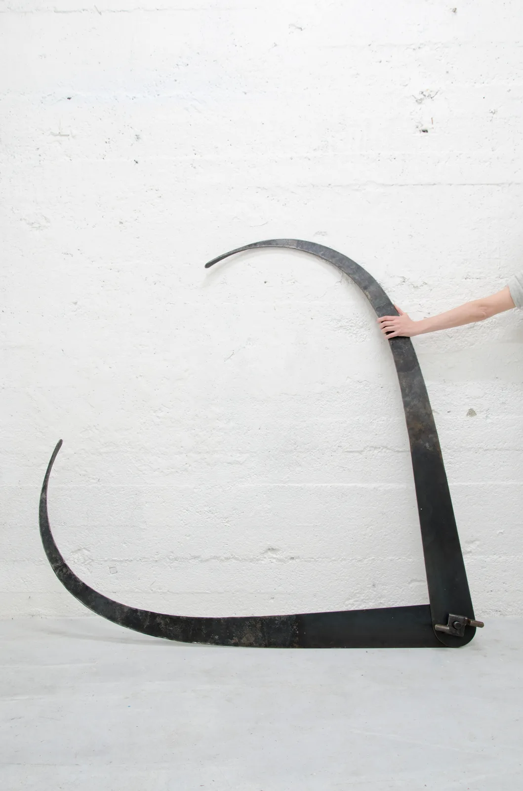 Untitled (Evolutionary tools)