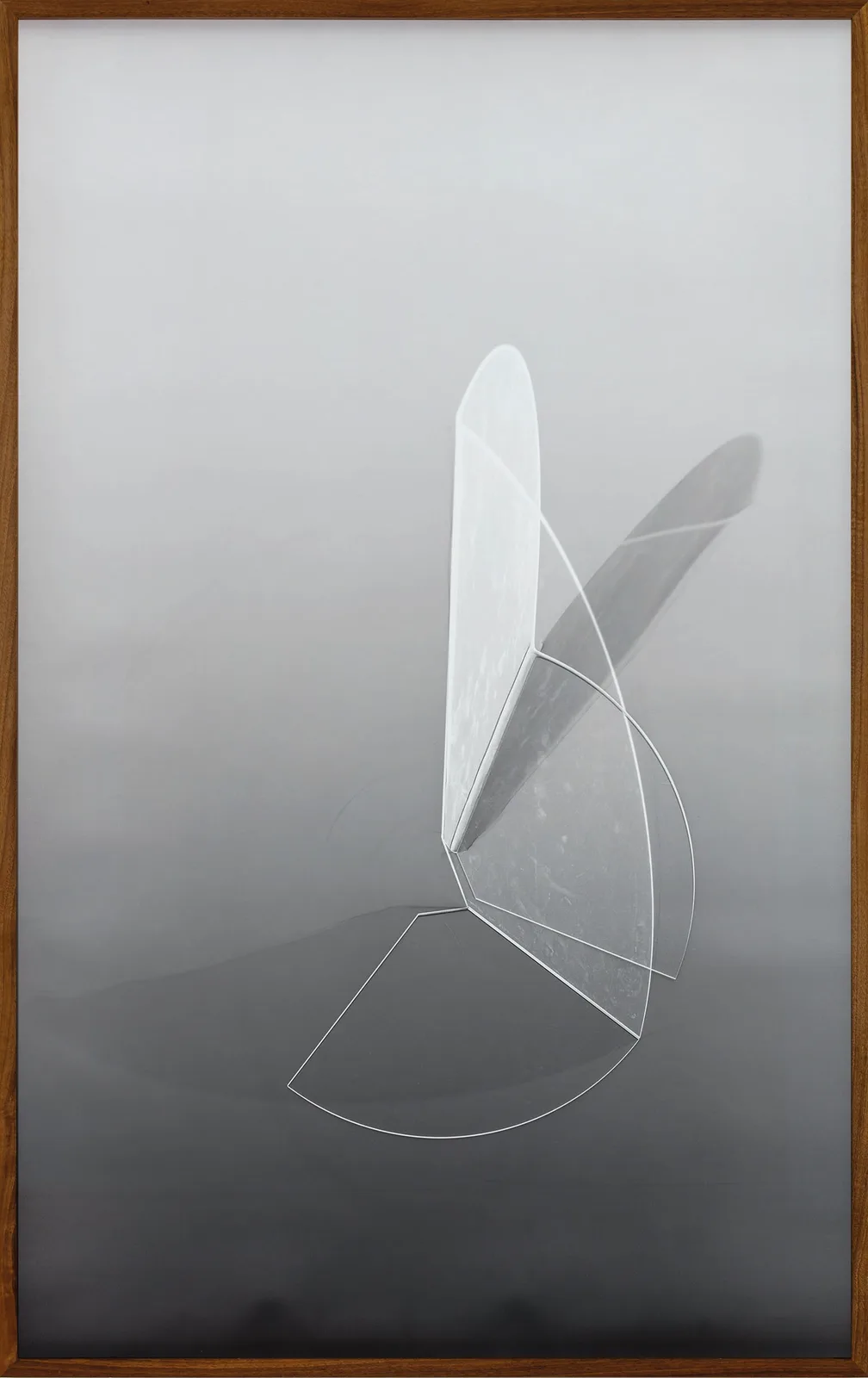 BICHO BRANCO IV