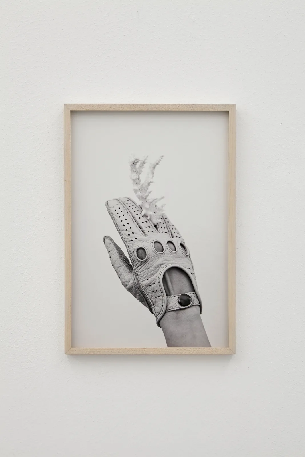 Untitled (Pore)