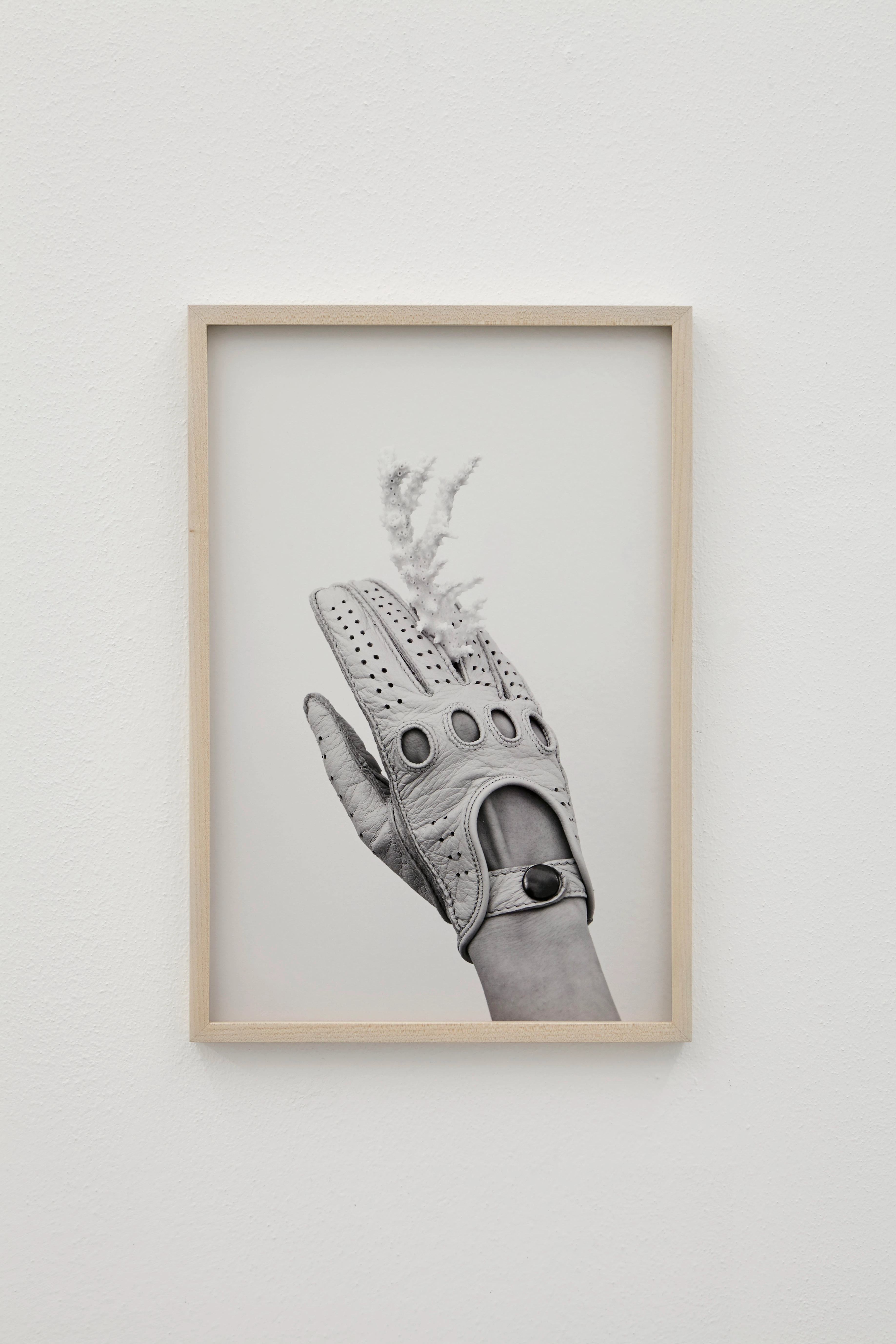 Untitled (Pore)