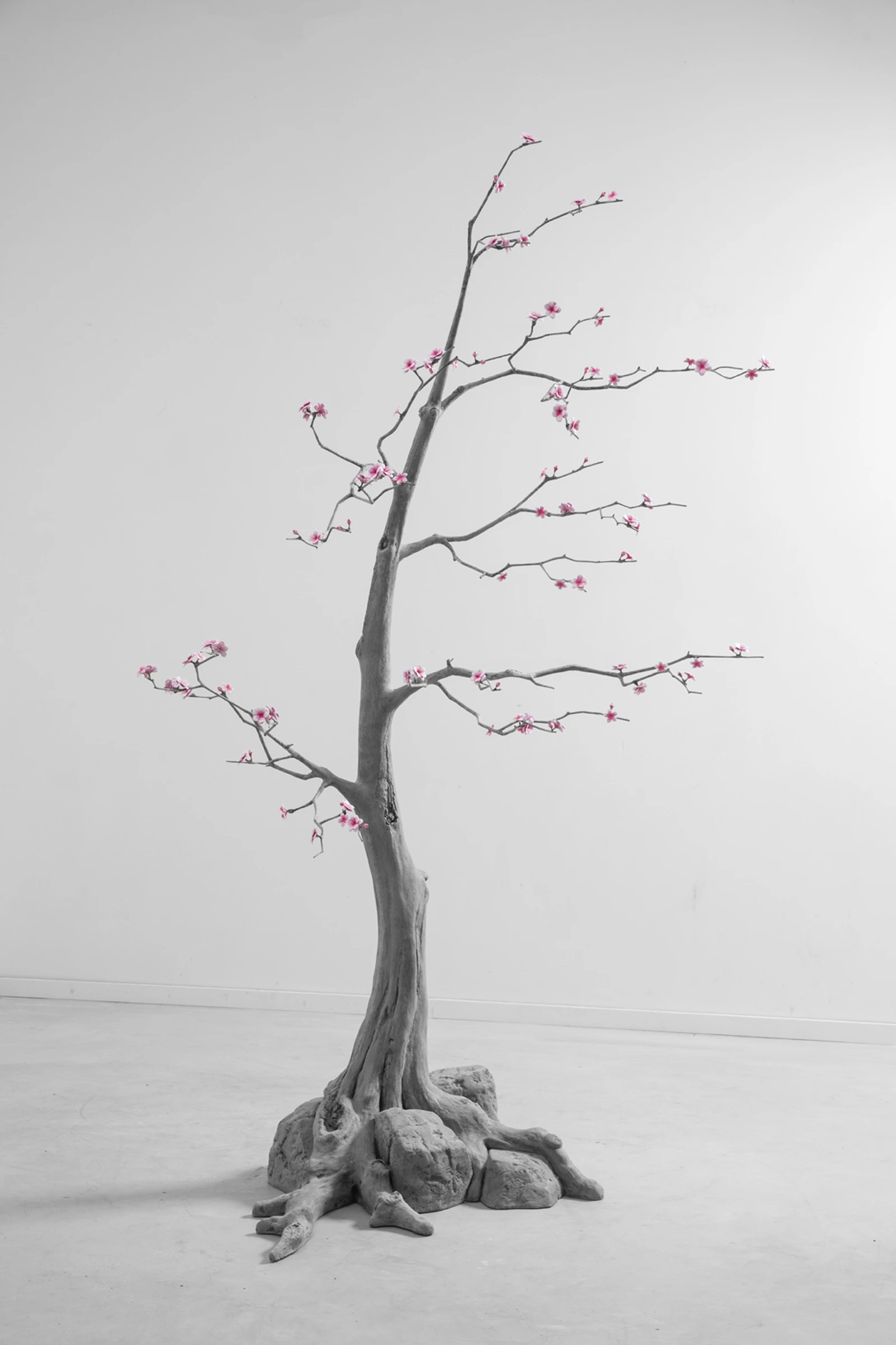 Blossom Tree (4)