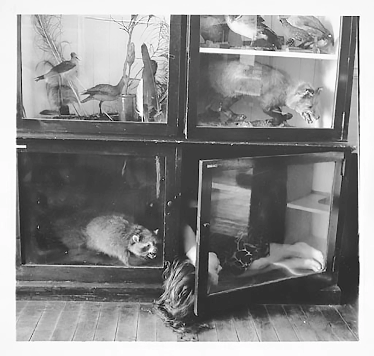 Untitled (Providence, Rhode Island)