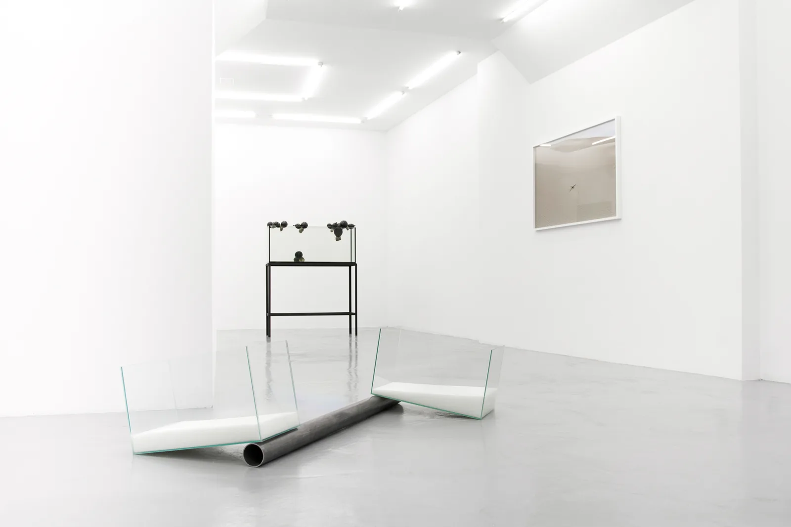Rodriguez Gallery