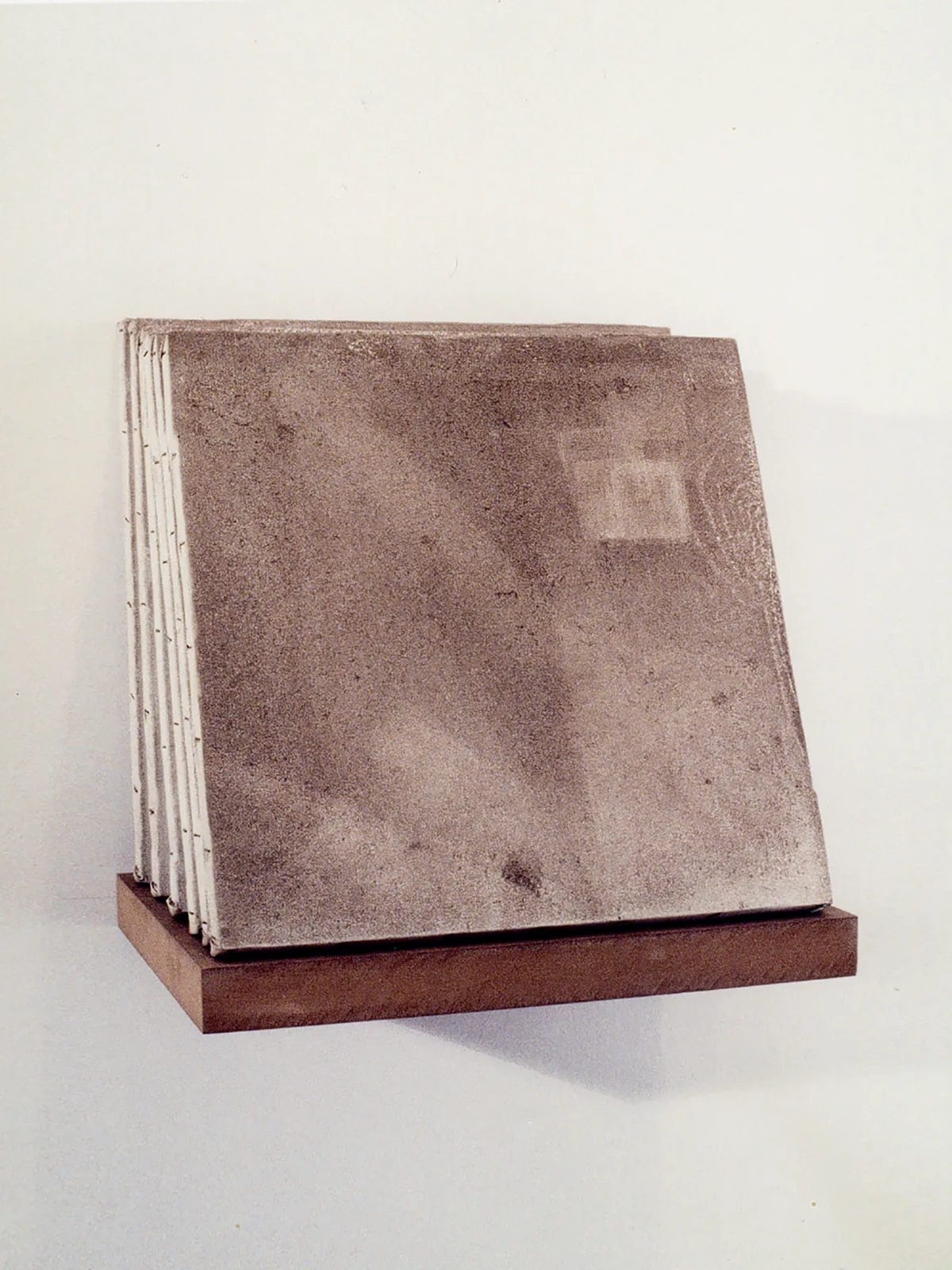 Polvo (seis telas) [Dust (Six Canvas)]