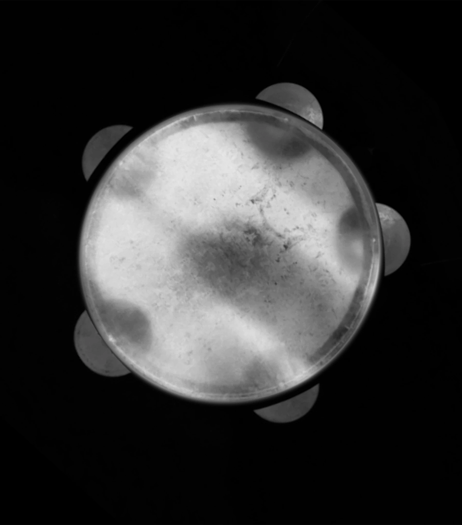 Maqamat (In collaboration with Aviad  Zinemanas)