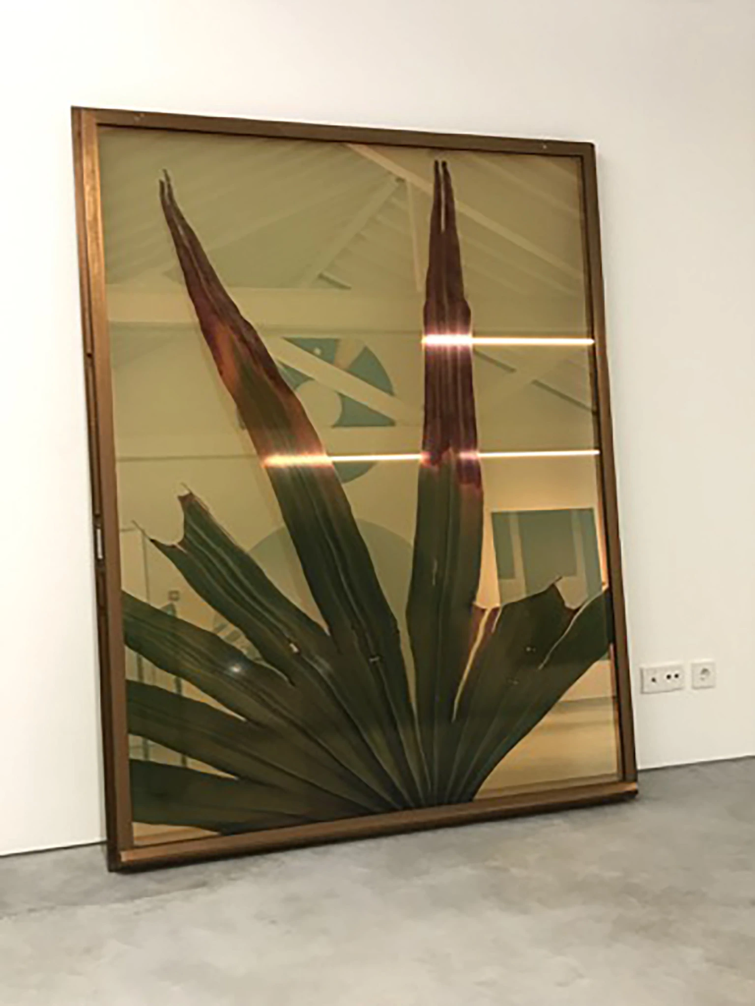 Botanical Frottage (Sarah)