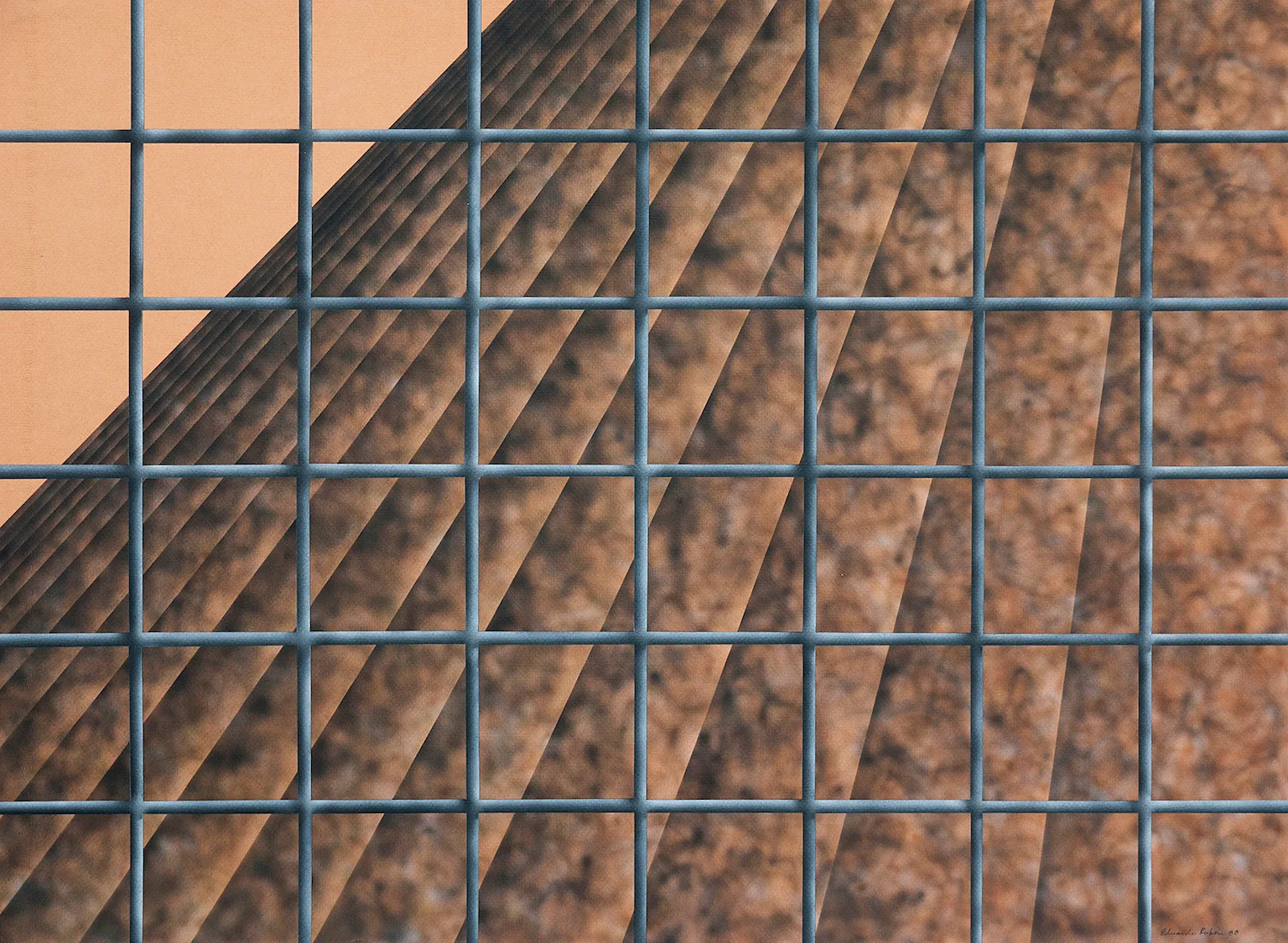 Untitled #3 (Rejas series)