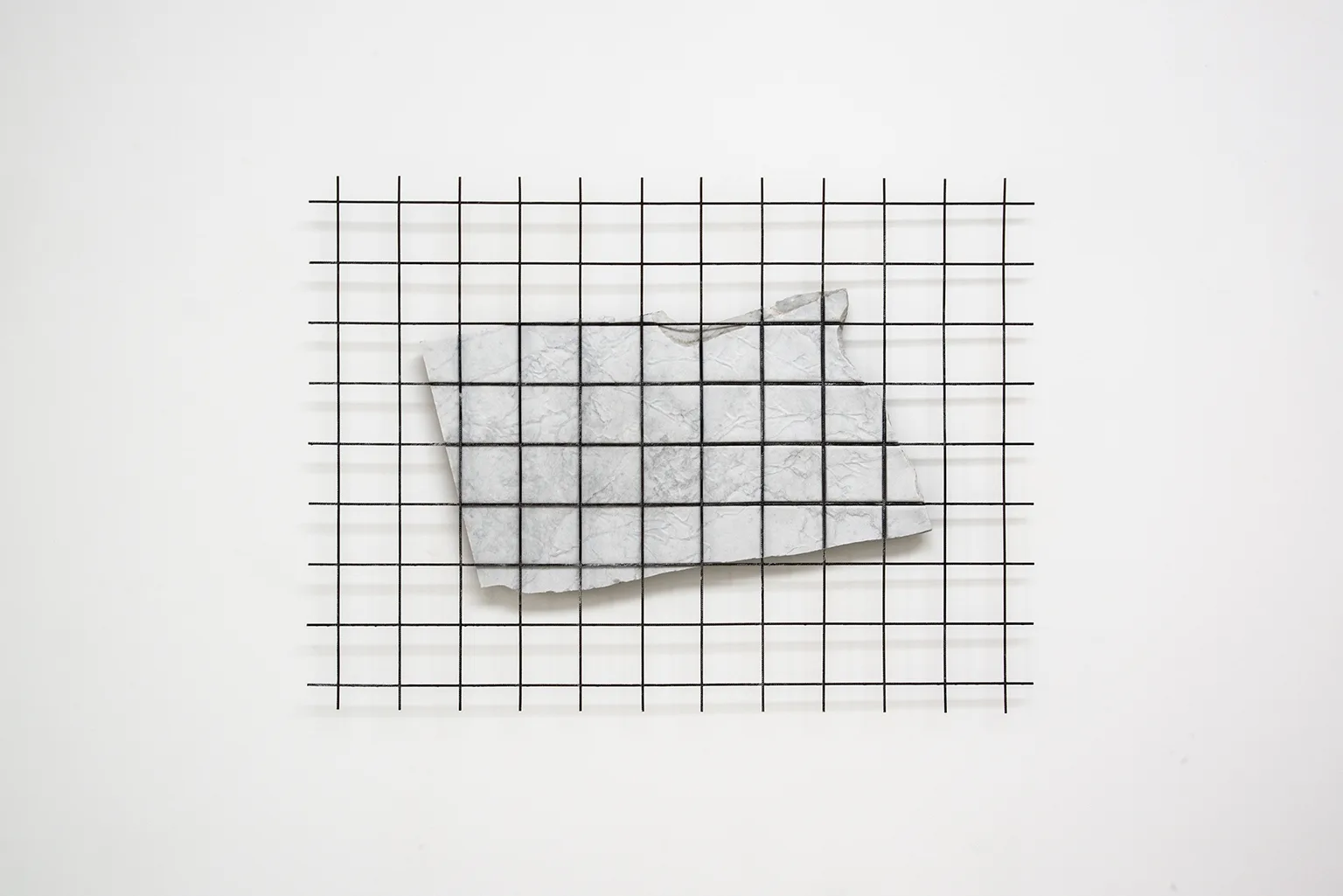 CORPO DI PIETRA - RETE