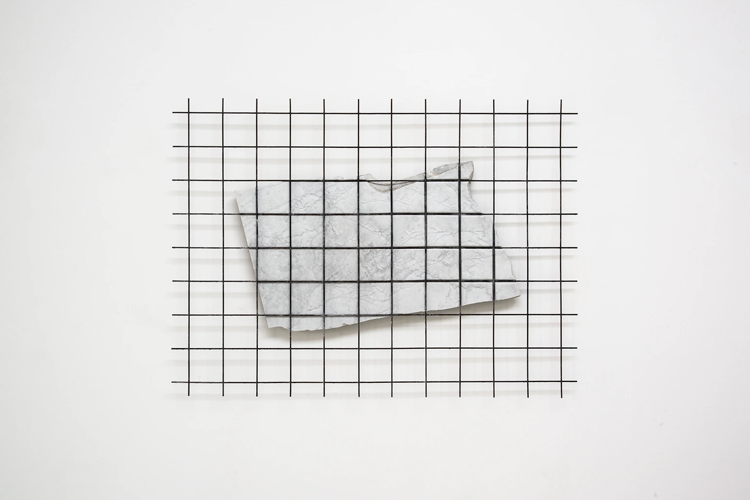 CORPO DI PIETRA - RETE