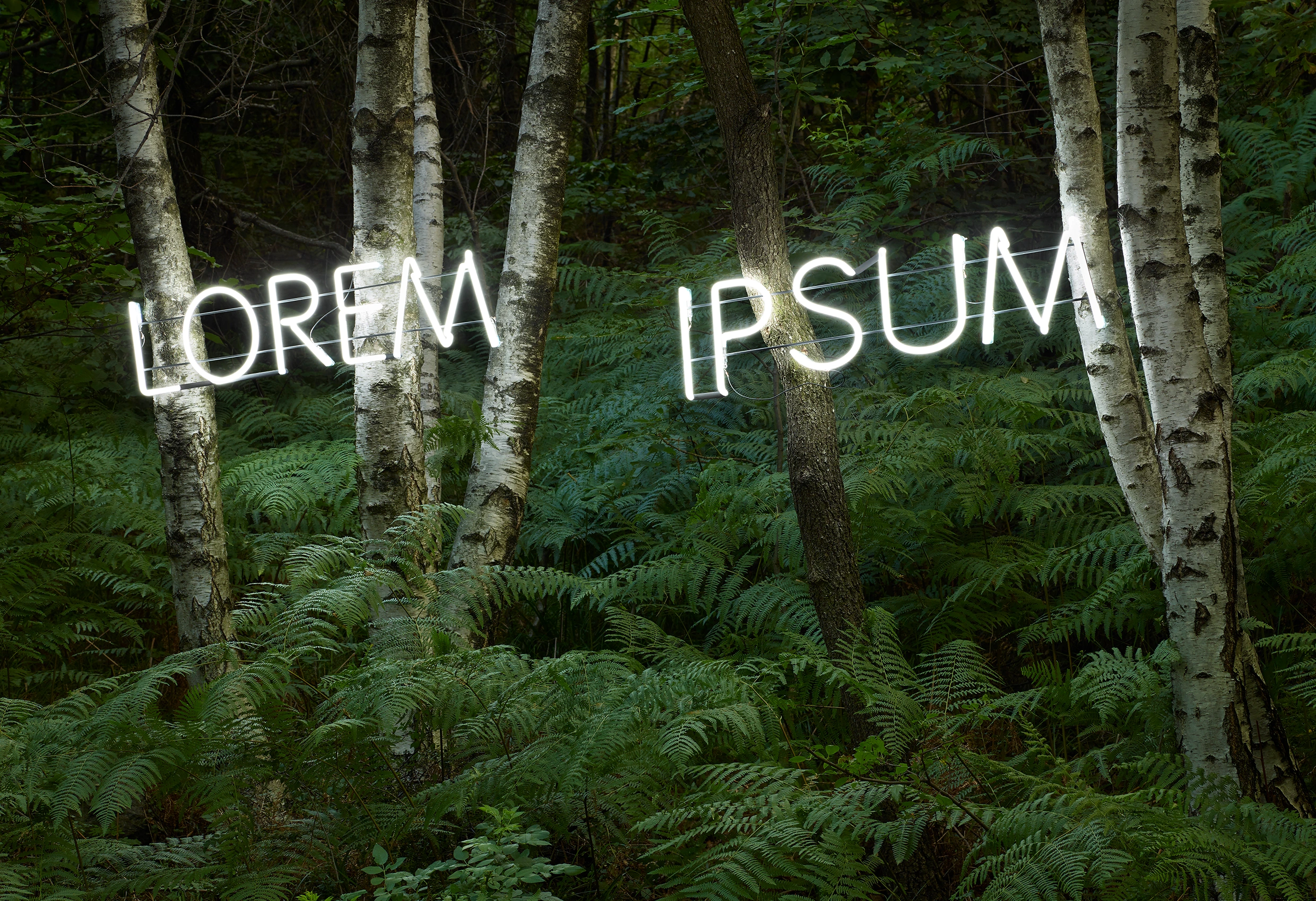 Lorem Ipsum